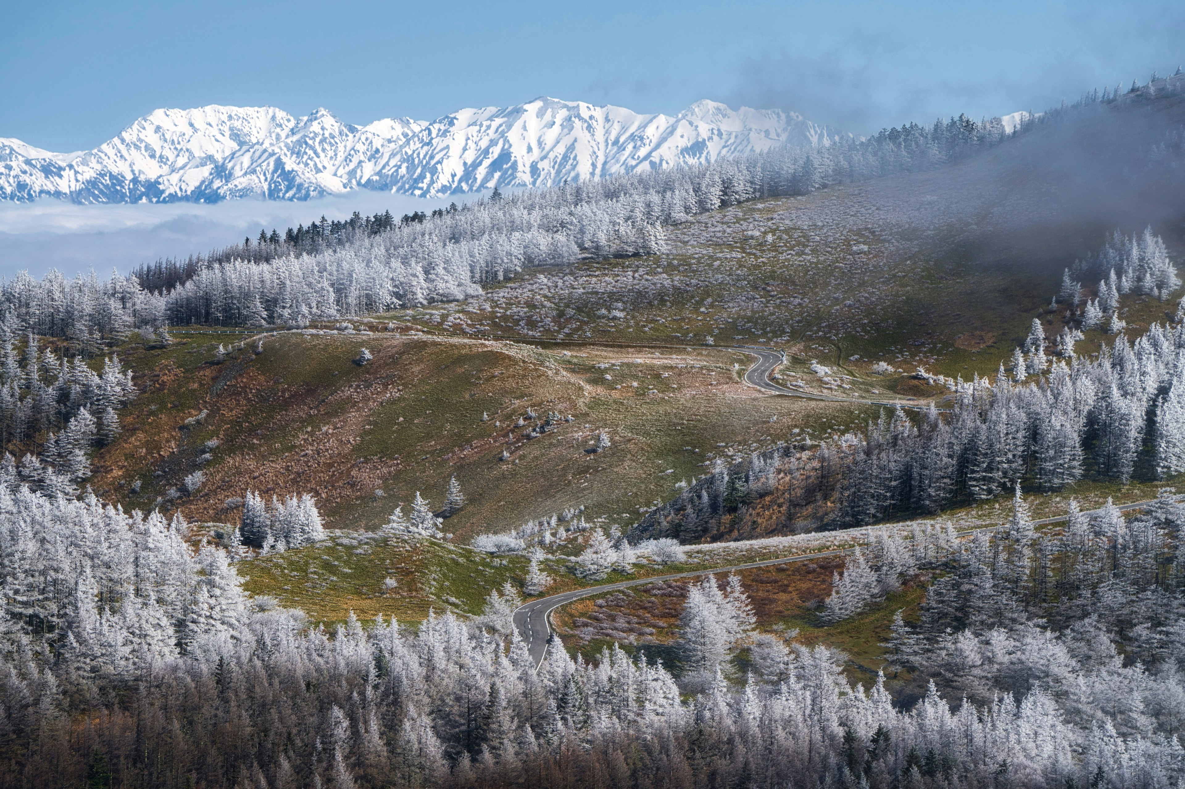 Scenic view of snow-covered trees and majestic mountains