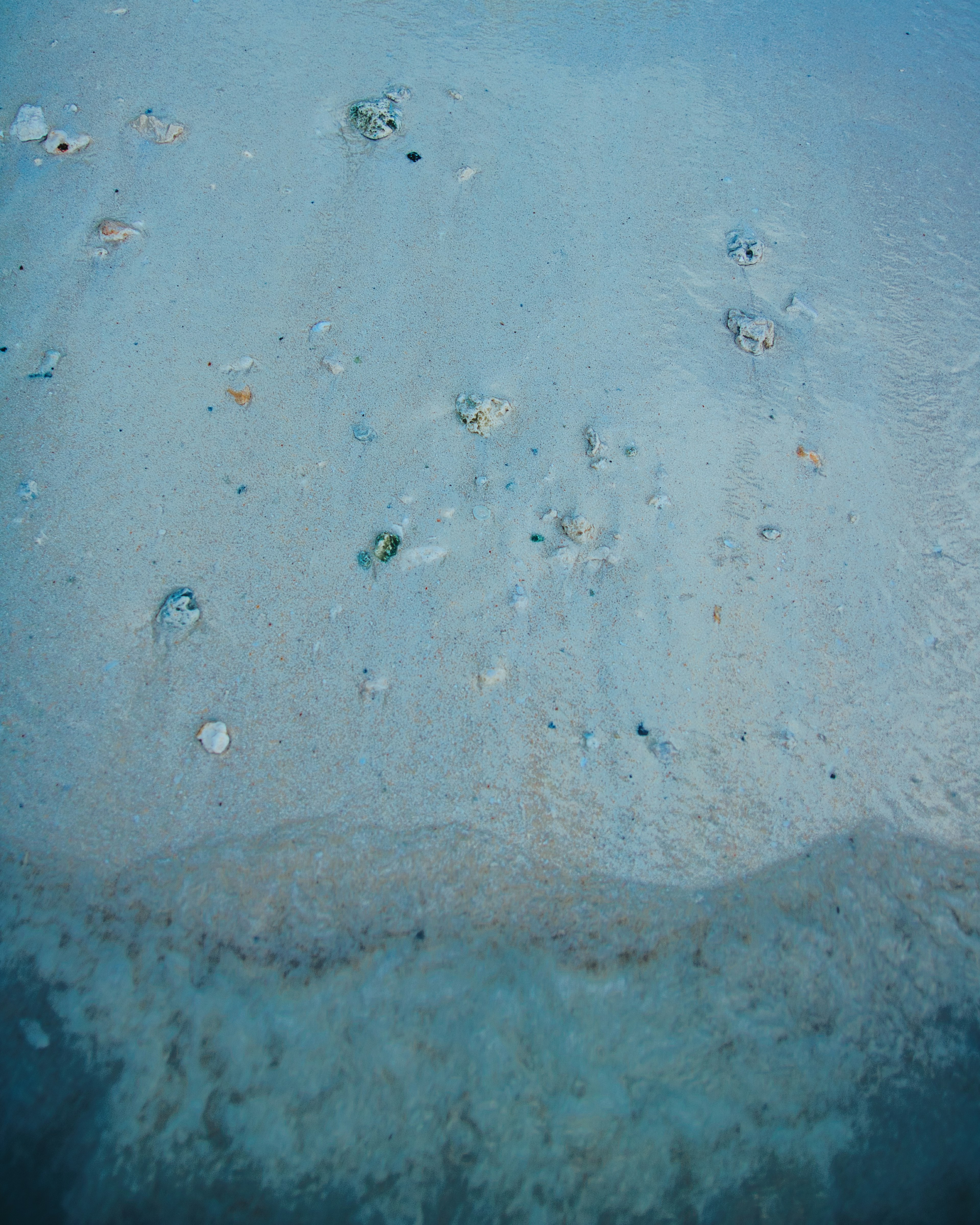 Blaue Wasseroberfläche mit Muscheln und Sandmustern