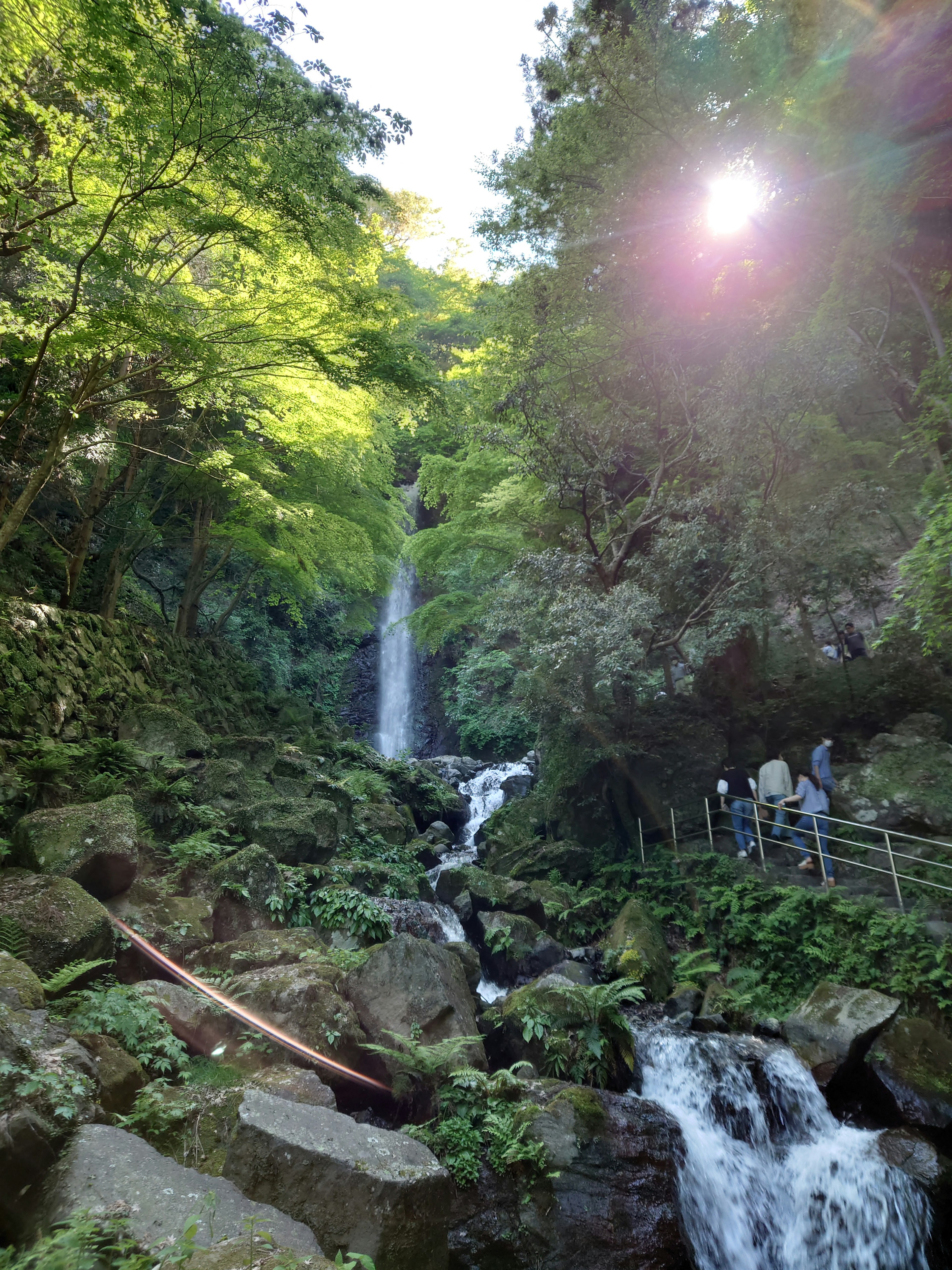 Scenic view of a waterfall and stream surrounded by lush greenery