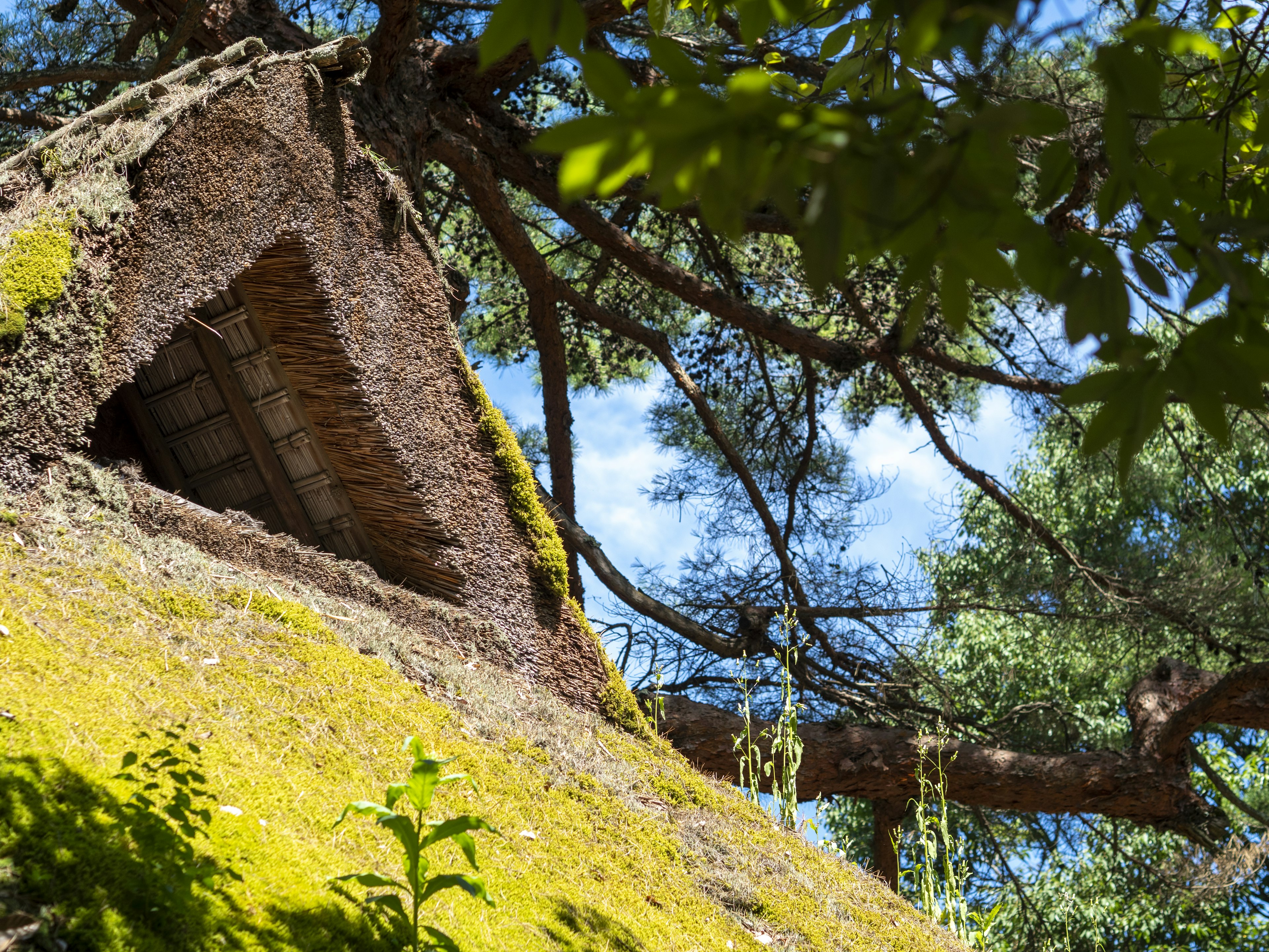 Ancien bâtiment avec un toit mousseux et des arbres environnants