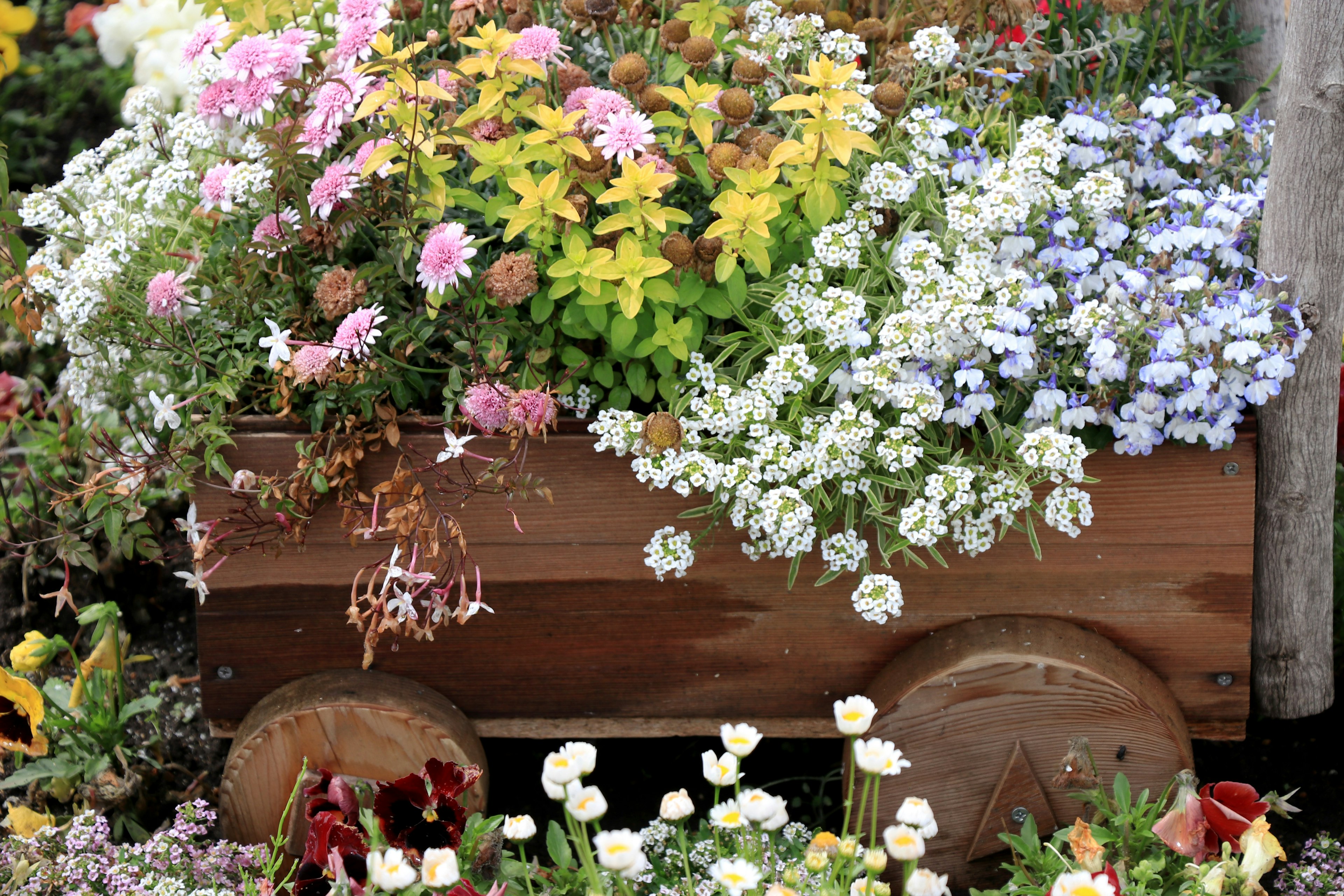 Carrello di legno pieno di fiori colorati in un bel allestimento da giardino