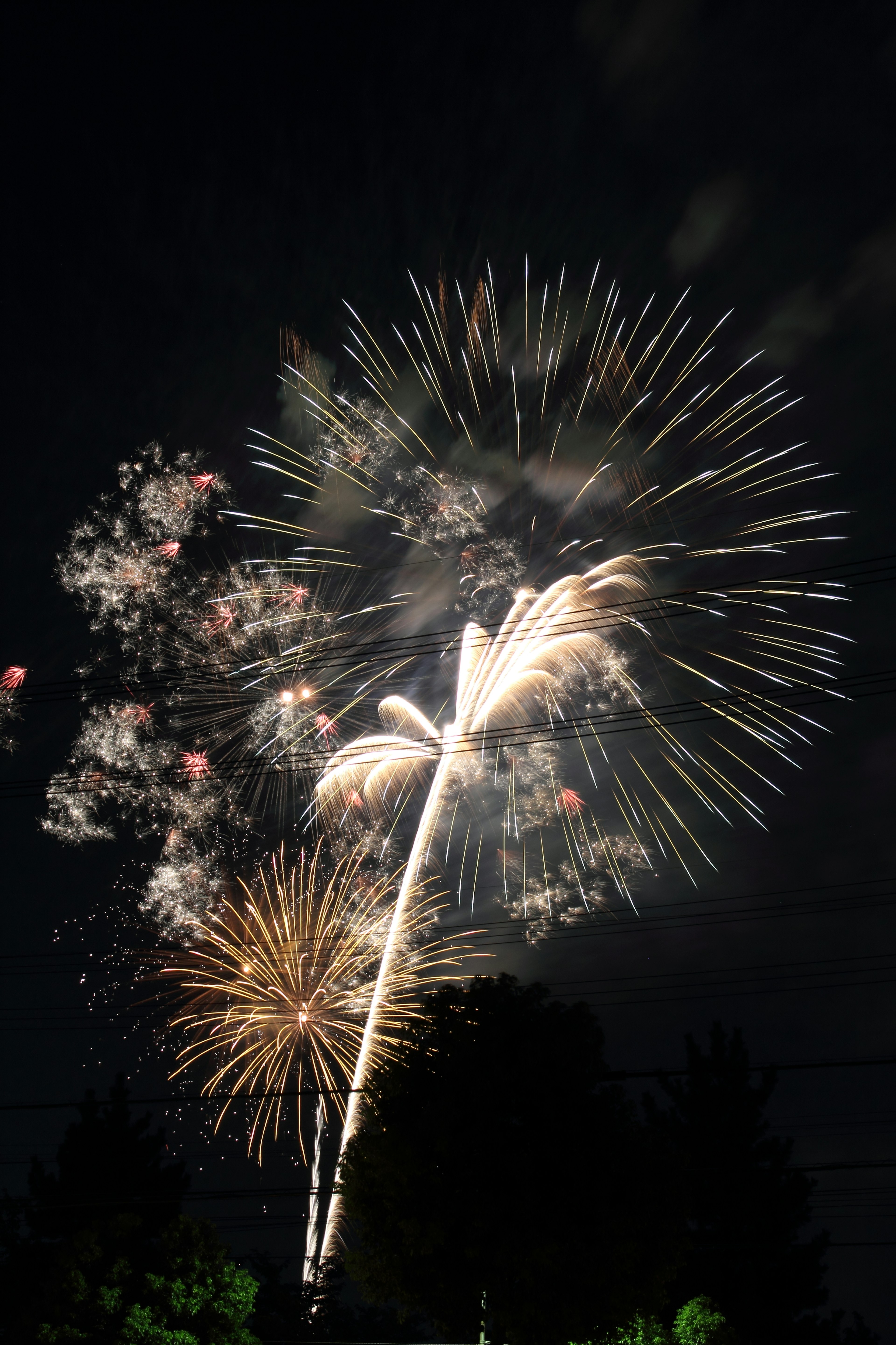 Des feux d'artifice colorés explosent dans le ciel nocturne créant des motifs vibrants