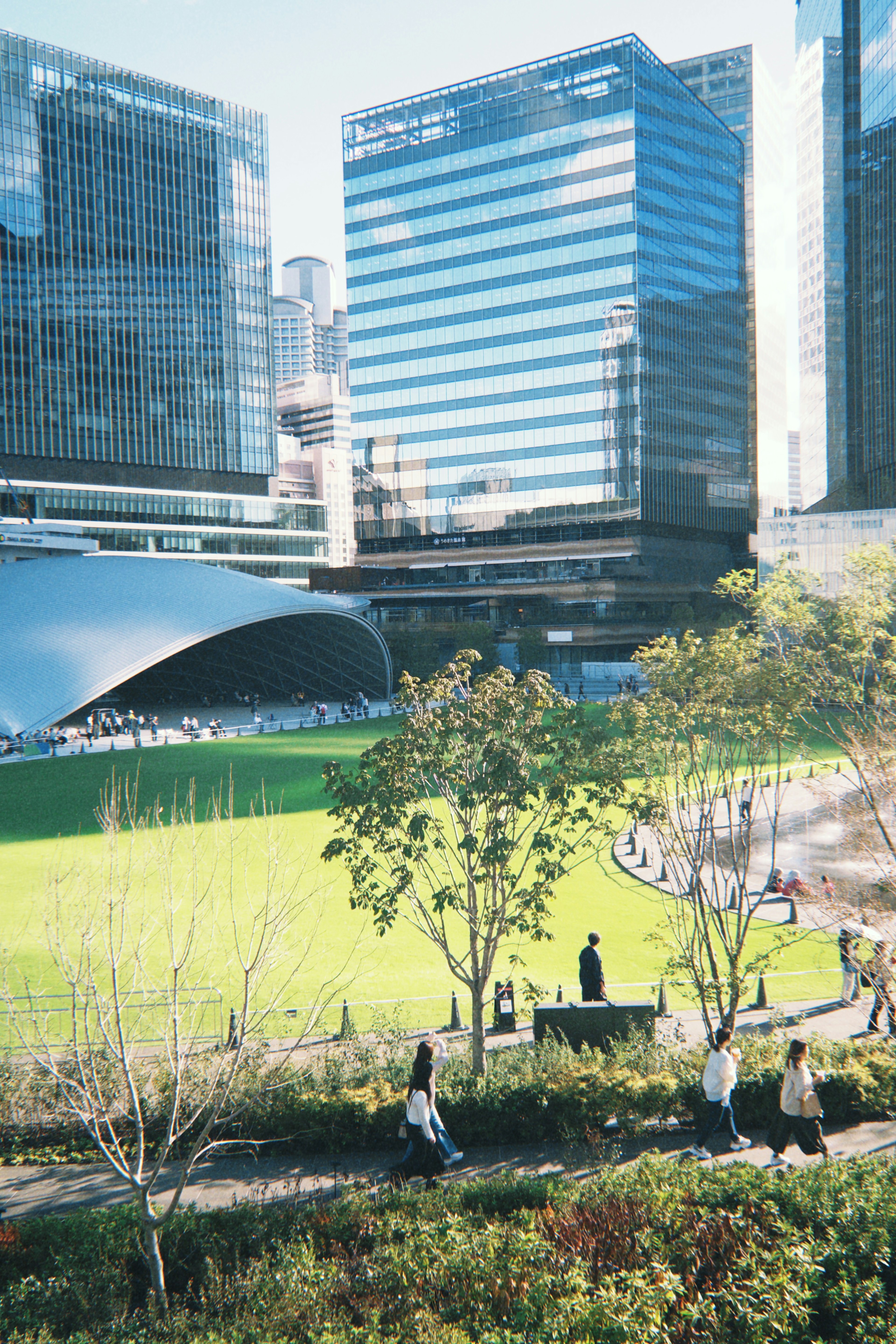 Stadtparkszene mit modernen Gebäuden und großzügigen Grünflächen