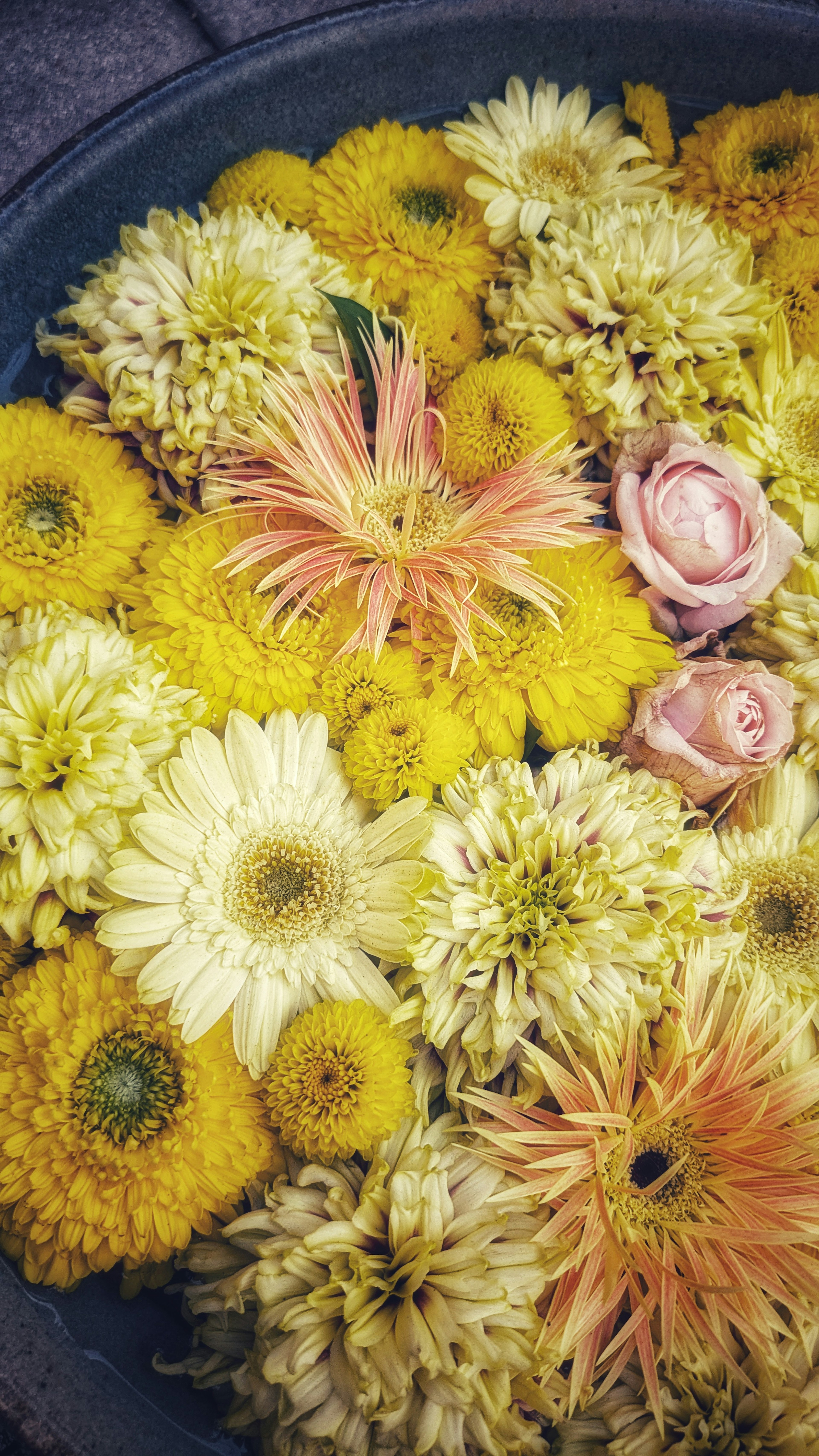 A bowl filled with yellow and white flowers