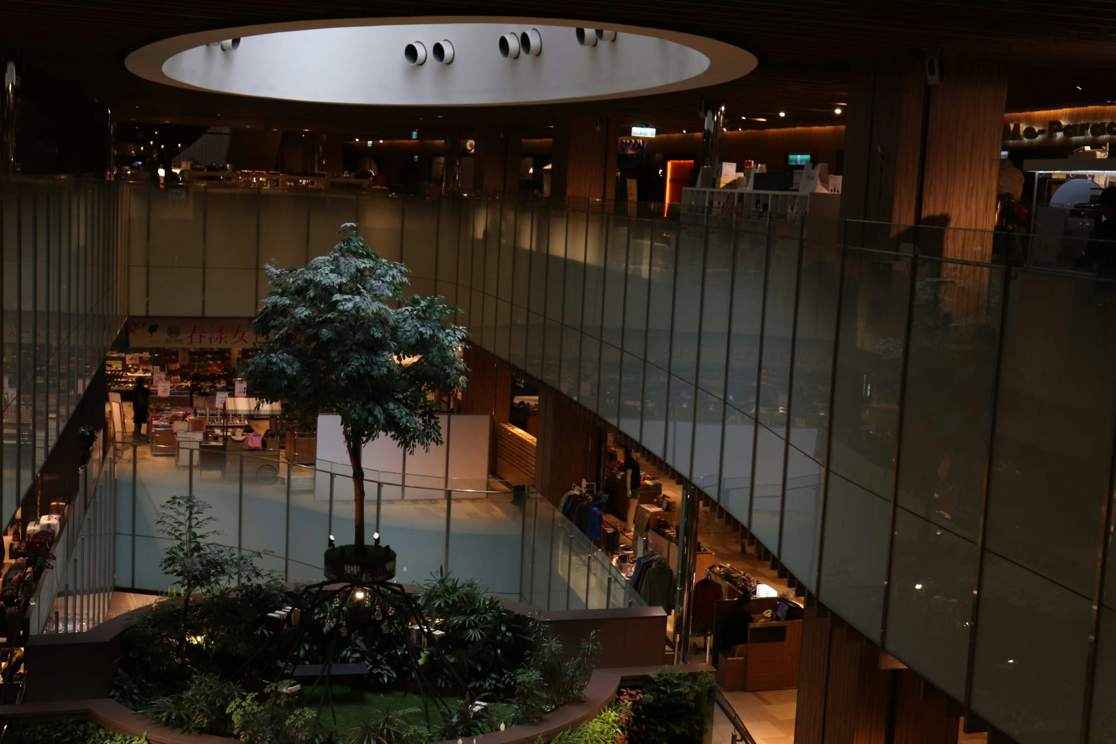 Vue intérieure d'un espace commercial moderne avec un grand arbre et des murs en verre