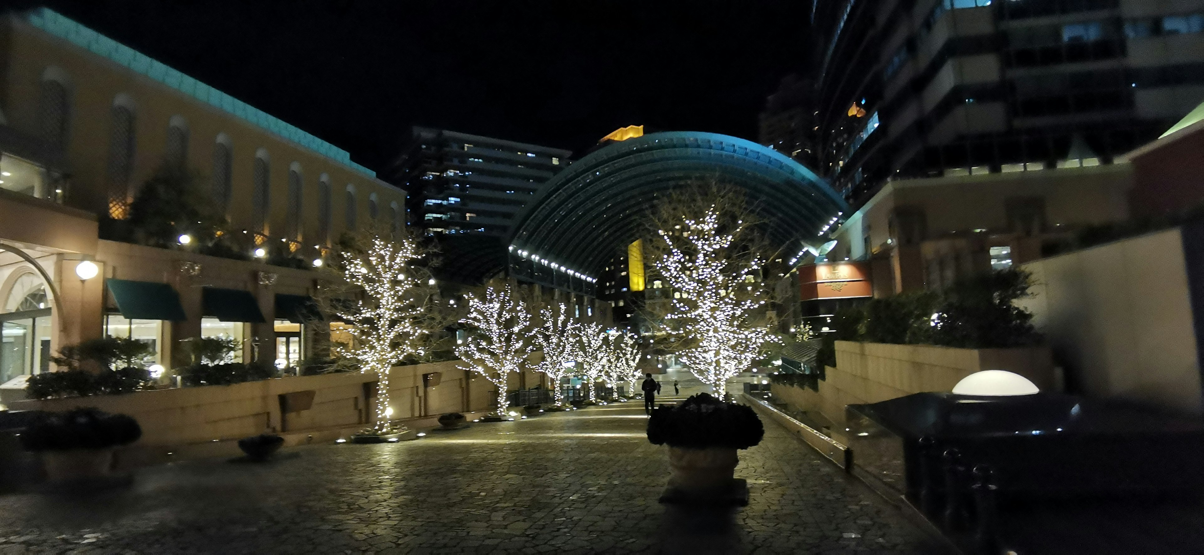 Scène nocturne avec des arbres illuminés en blanc et des bâtiments modernes