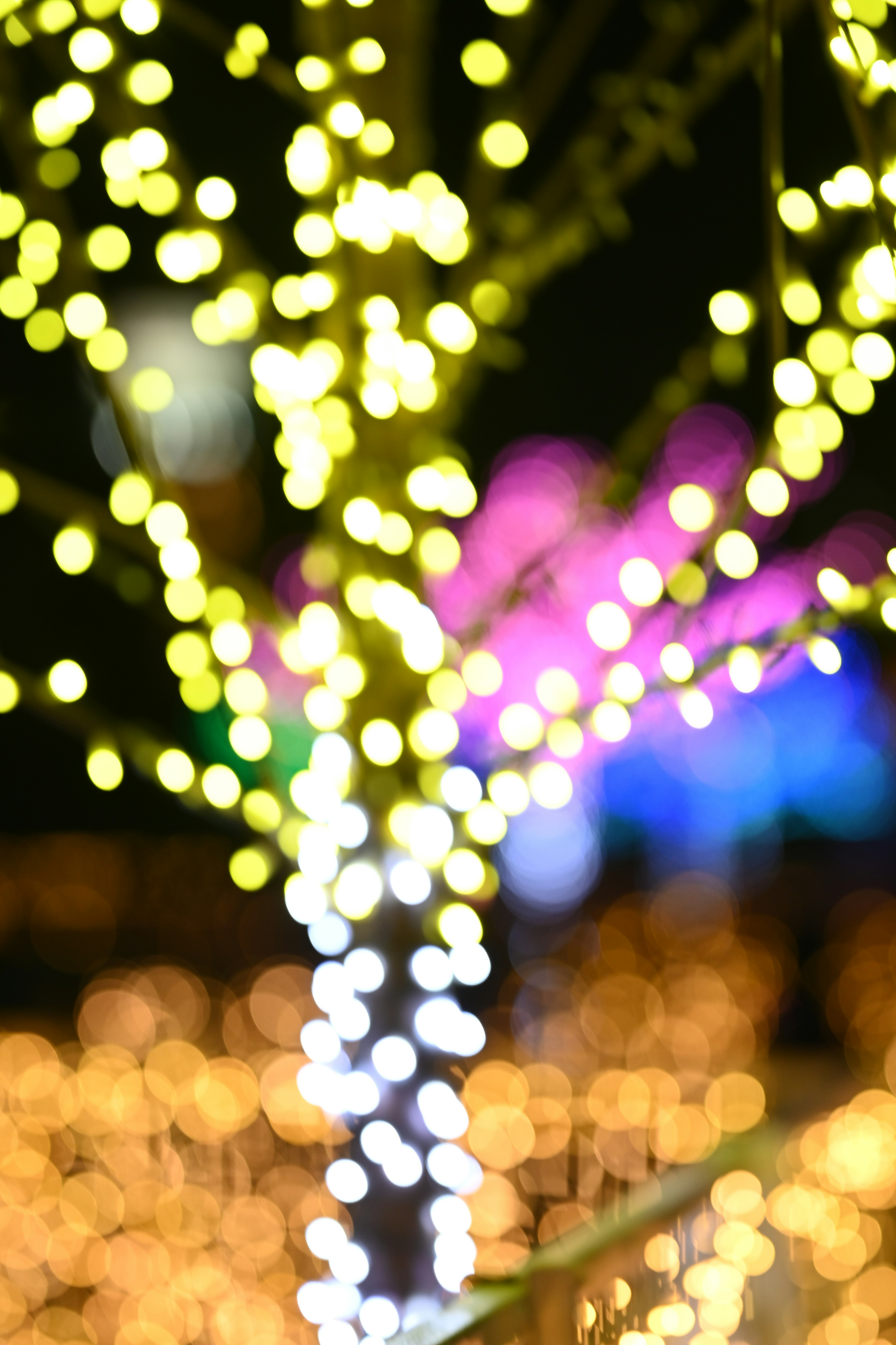 Arbre flou avec des lumières scintillantes et un fond coloré