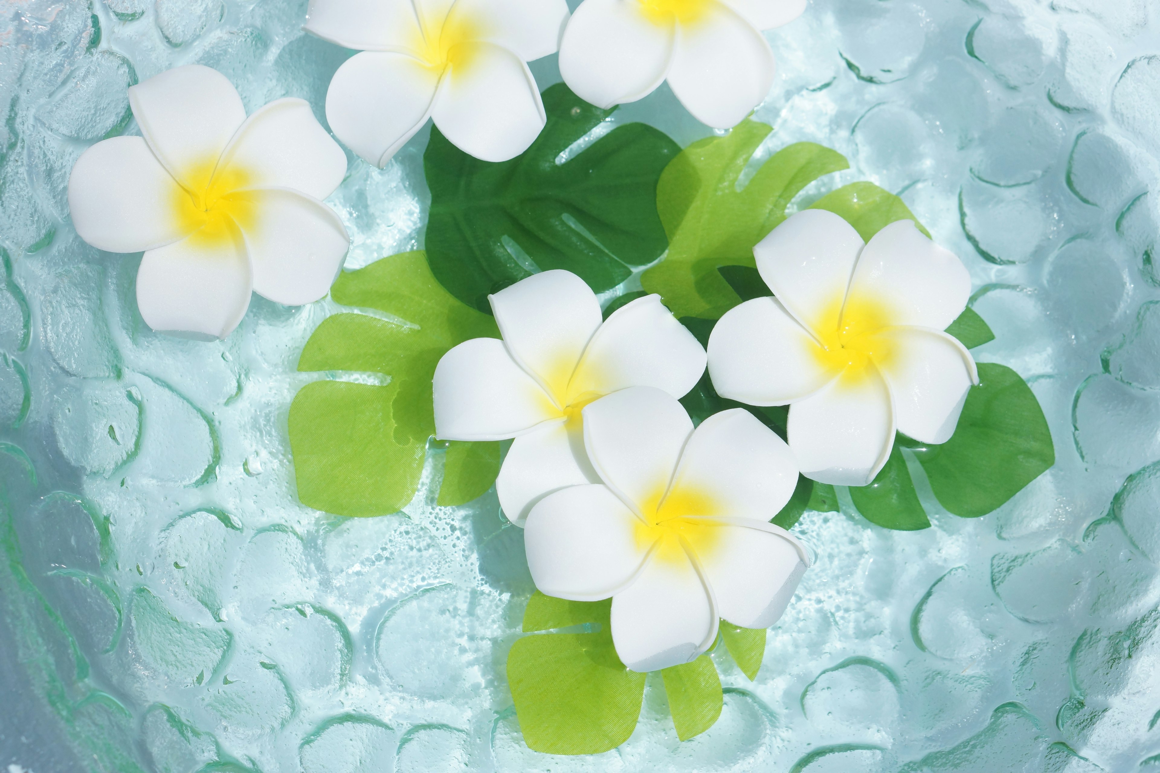 Fiori bianchi e foglie verdi che galleggiano sull'acqua