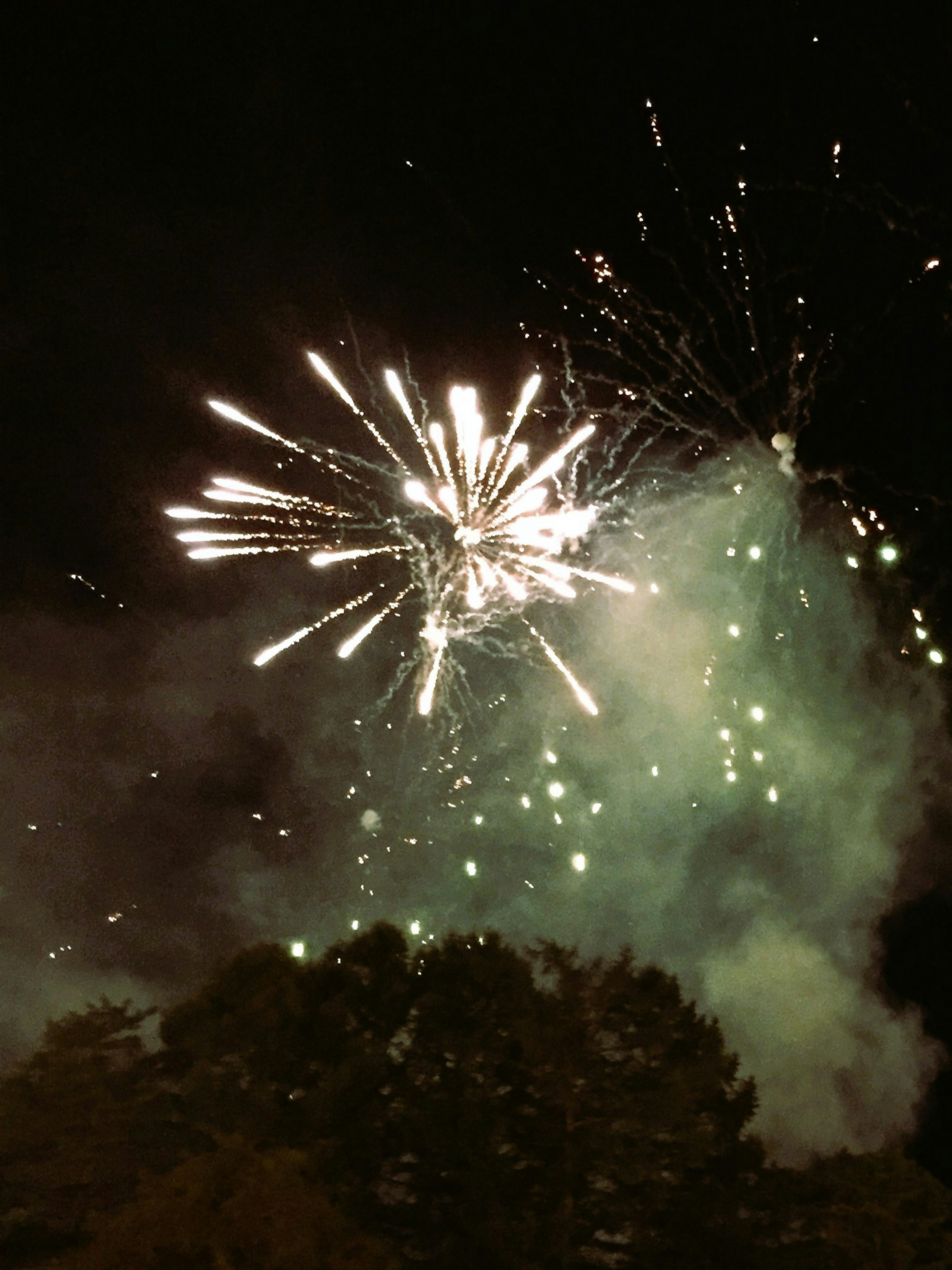 夜空に広がる花火と緑の煙