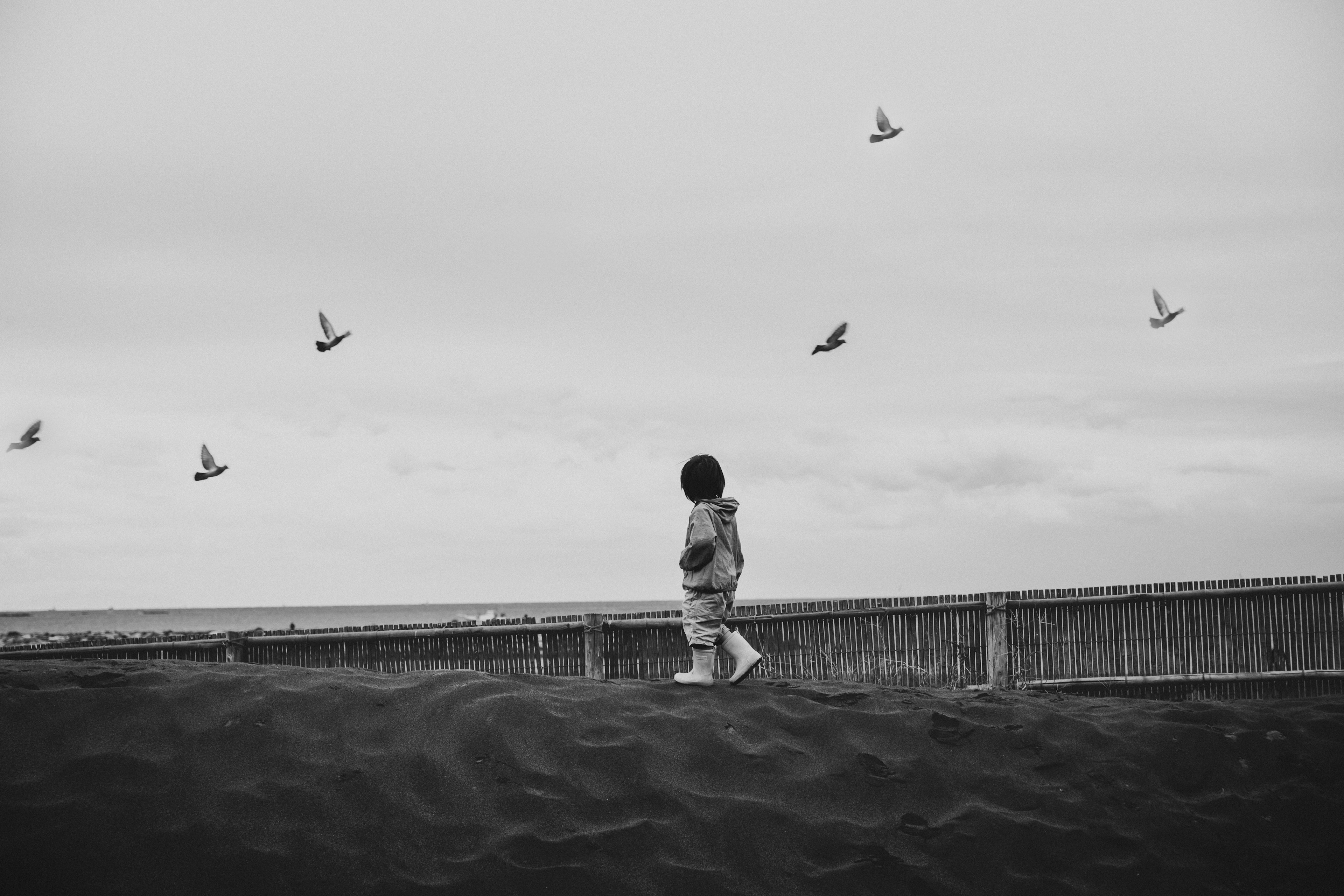 Niño caminando en una playa con aves volando sobre él