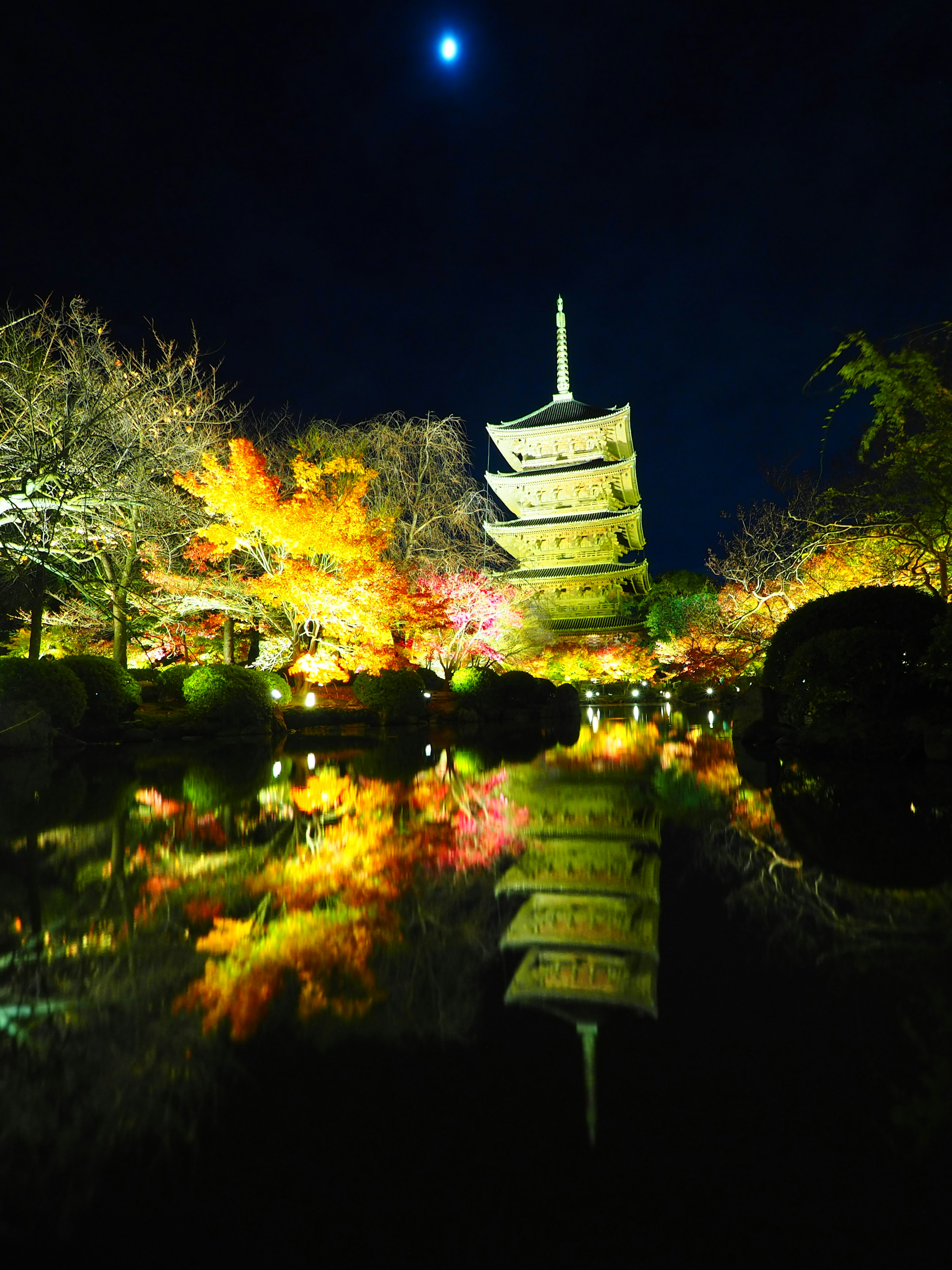 夜の景色に映る五重塔と色づいた木々の美しい反射