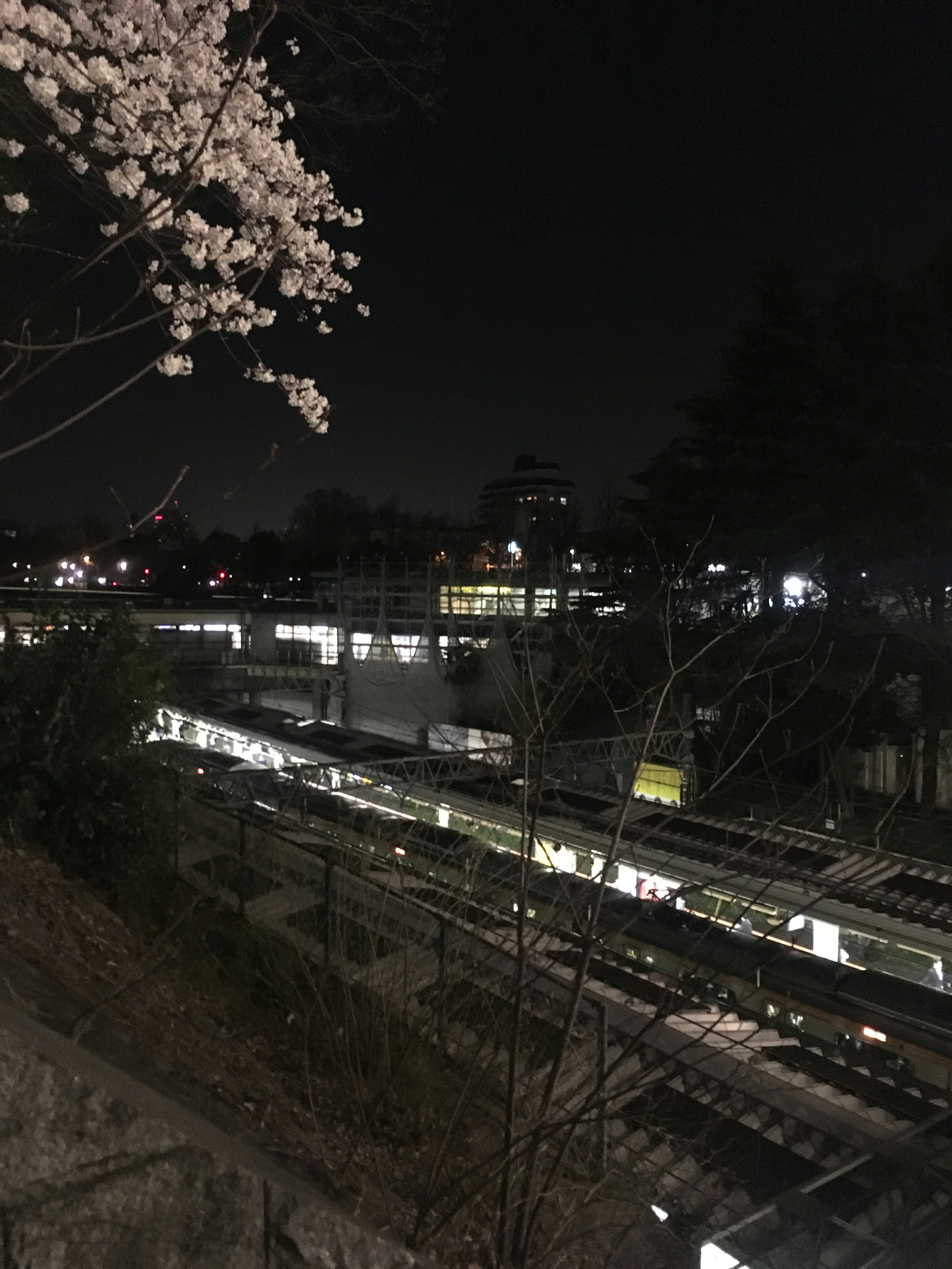 夜の桜と鉄道の風景