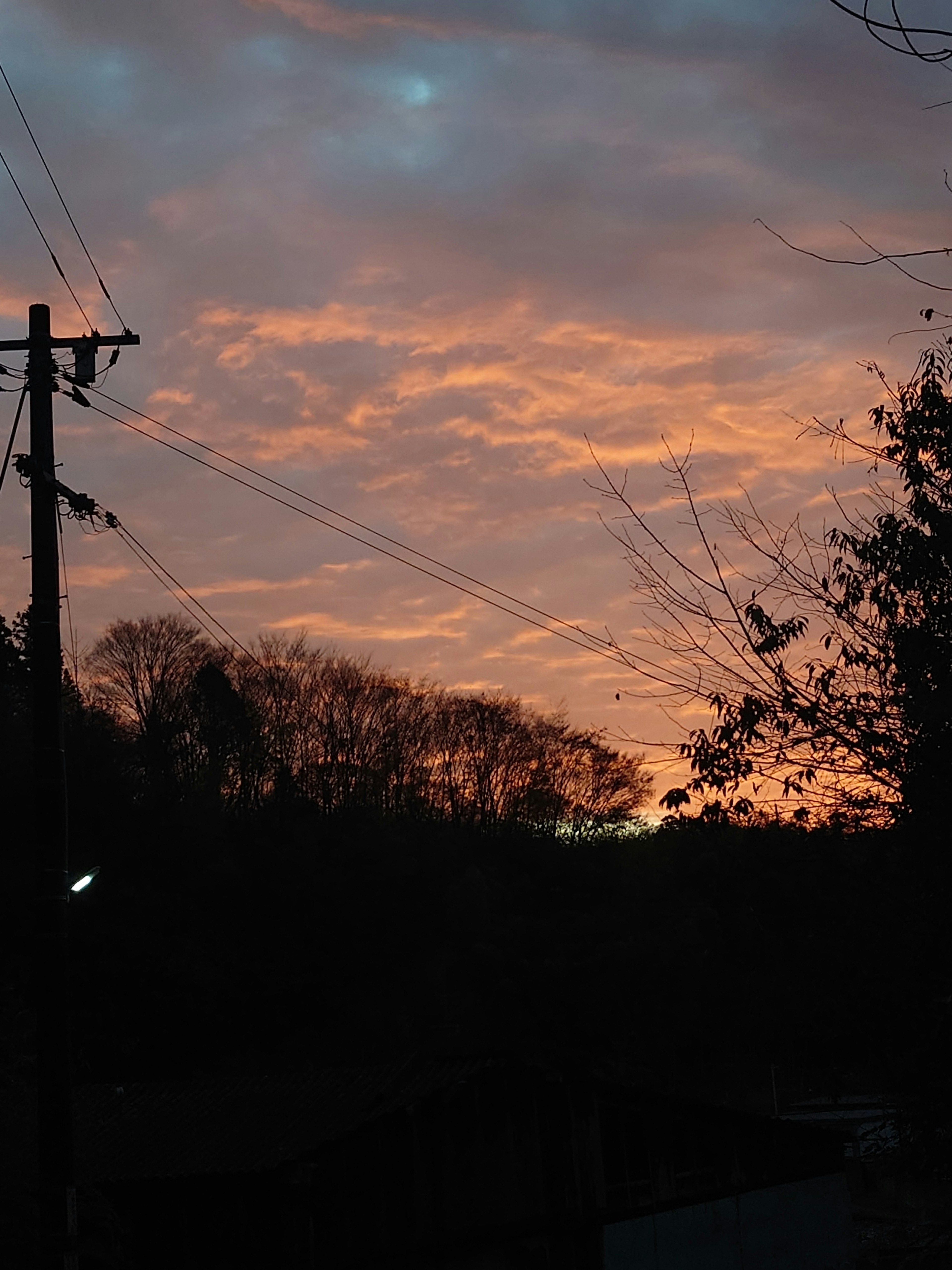 Landscape featuring a sunset with silhouetted trees and colorful clouds