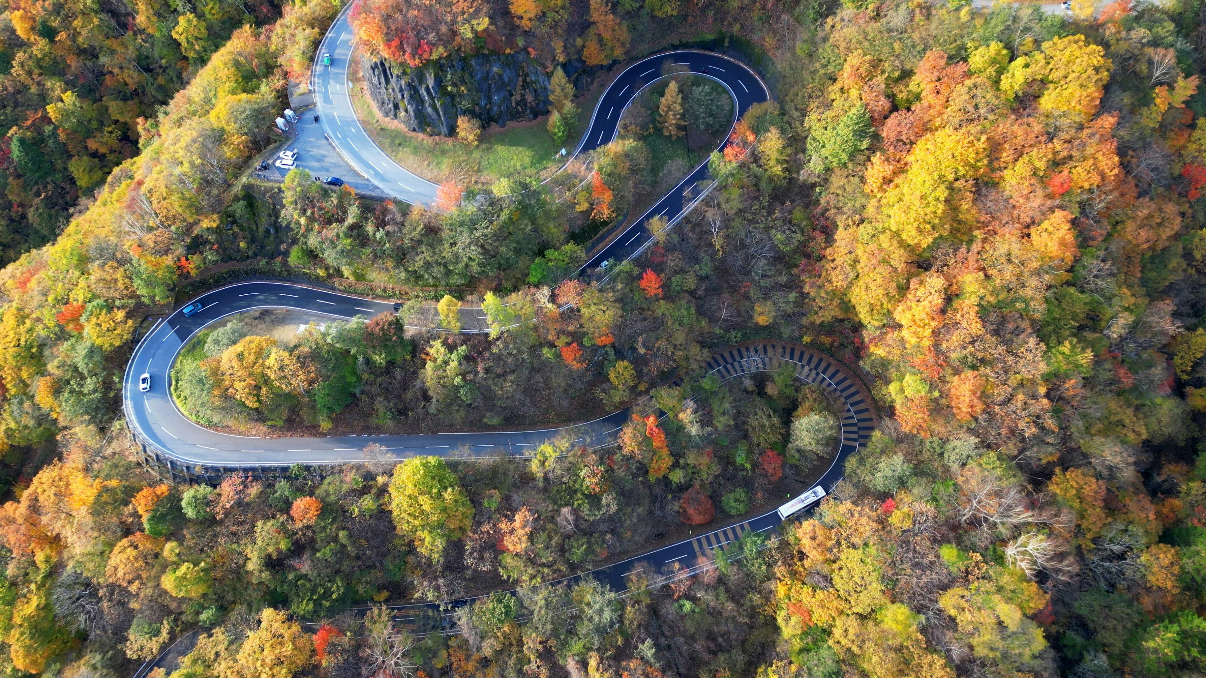 秋色樹木間的蜿蜒道路