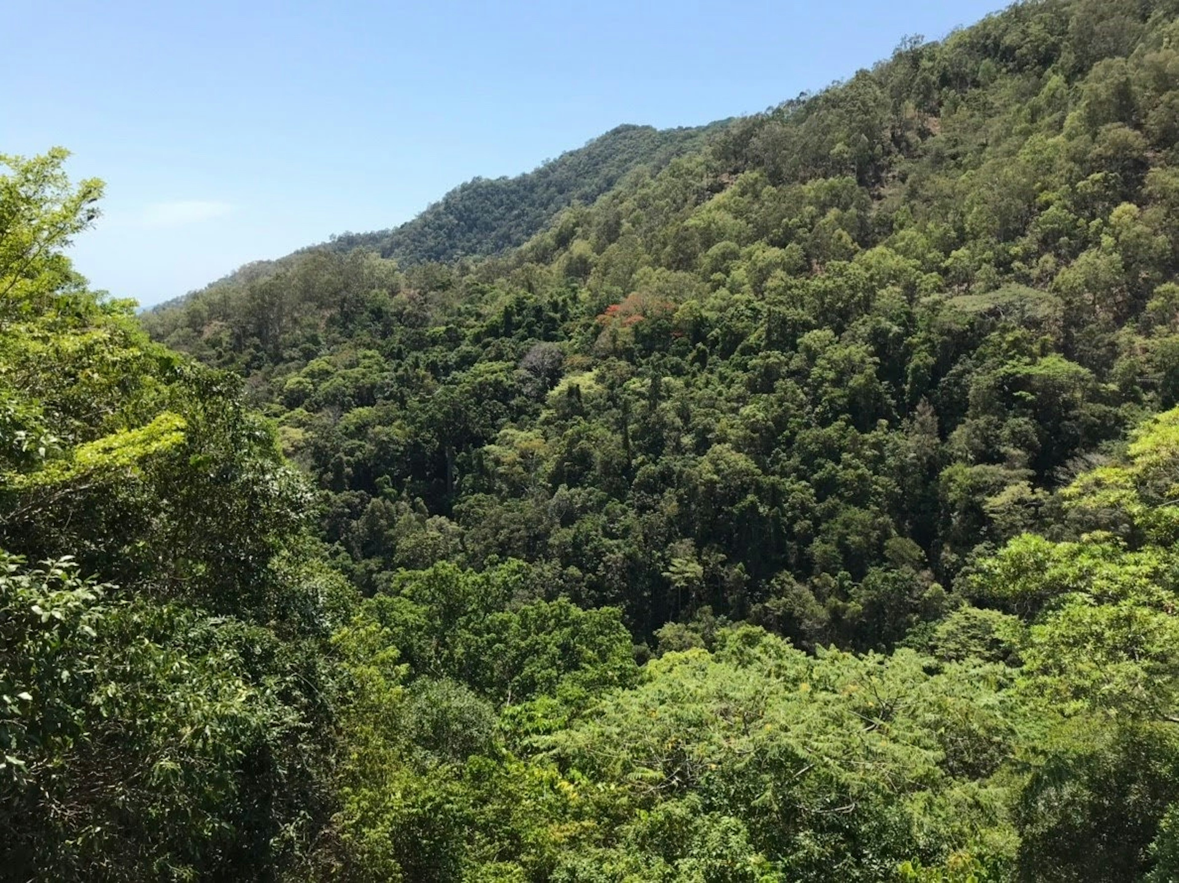 Pemandangan pegunungan hijau subur dengan langit biru dan bukit