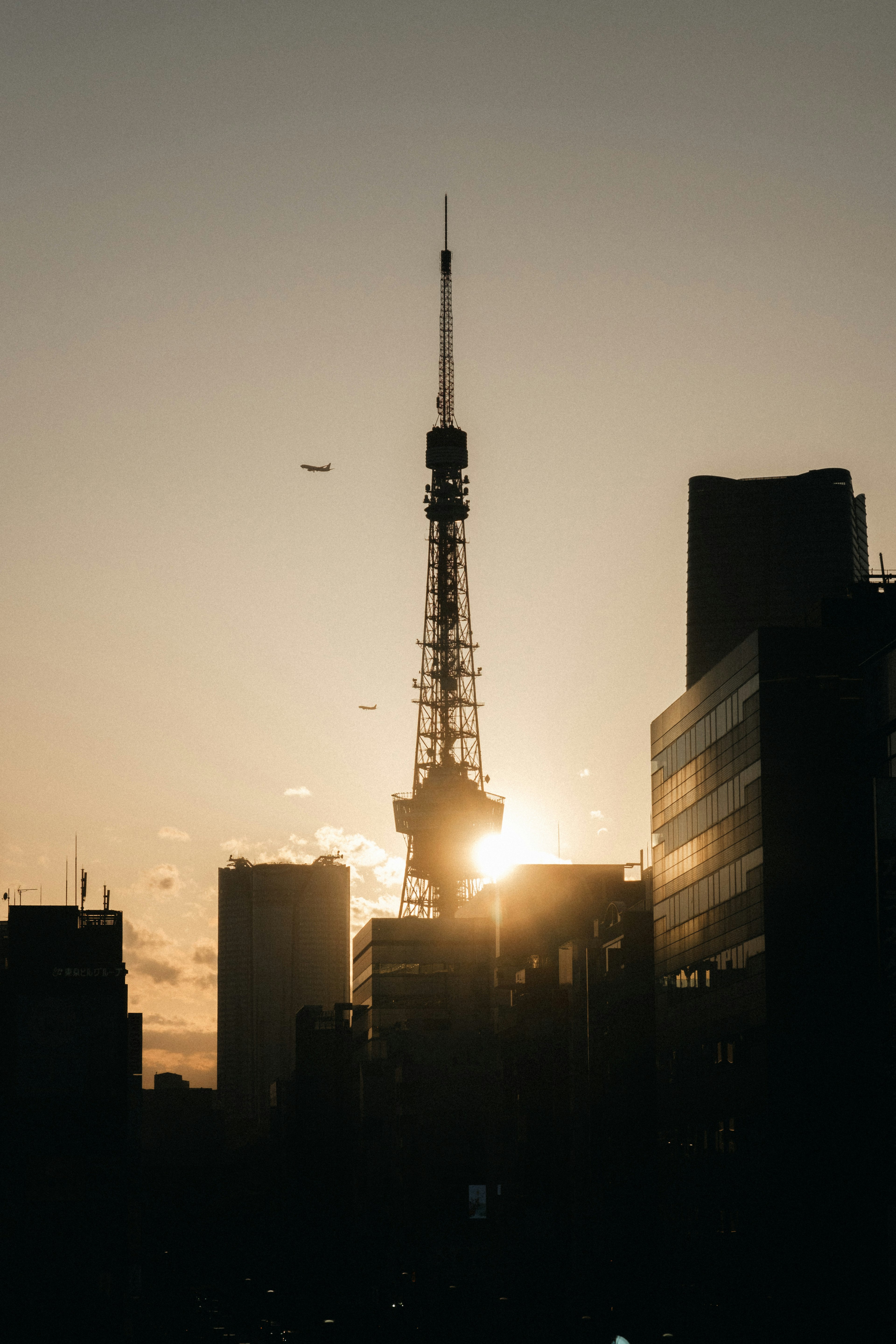 东京塔在日落背景下的轮廓，前景有建筑物