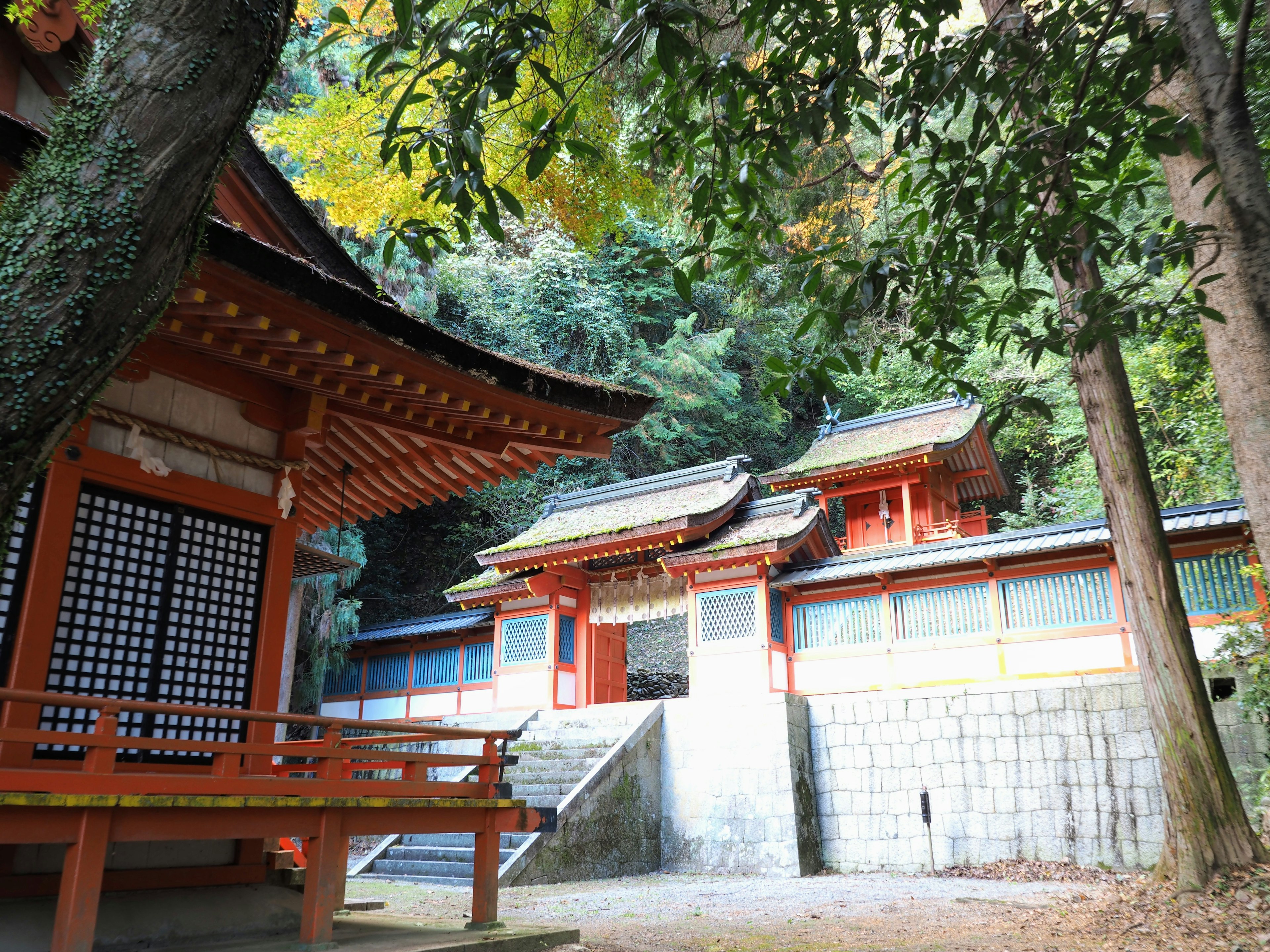 Hermoso edificio de santuario japonés con vegetación exuberante