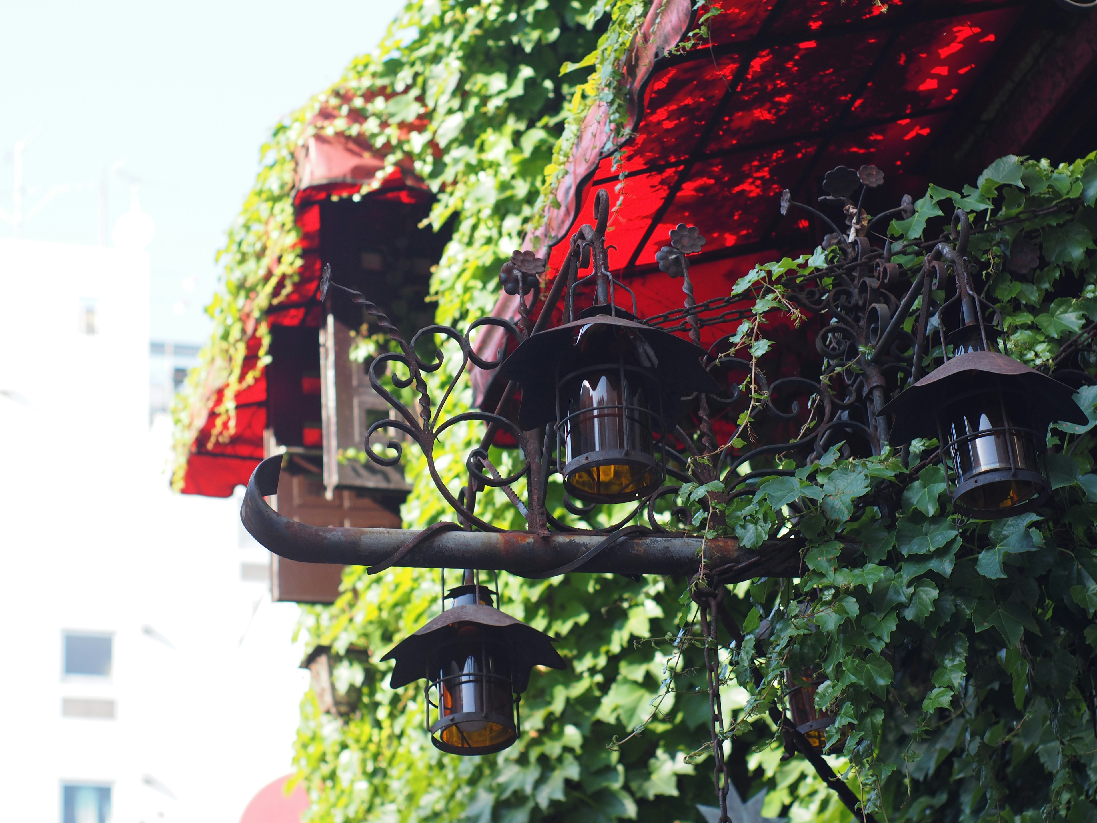 Lanterns hanging under red roofs surrounded by lush ivy