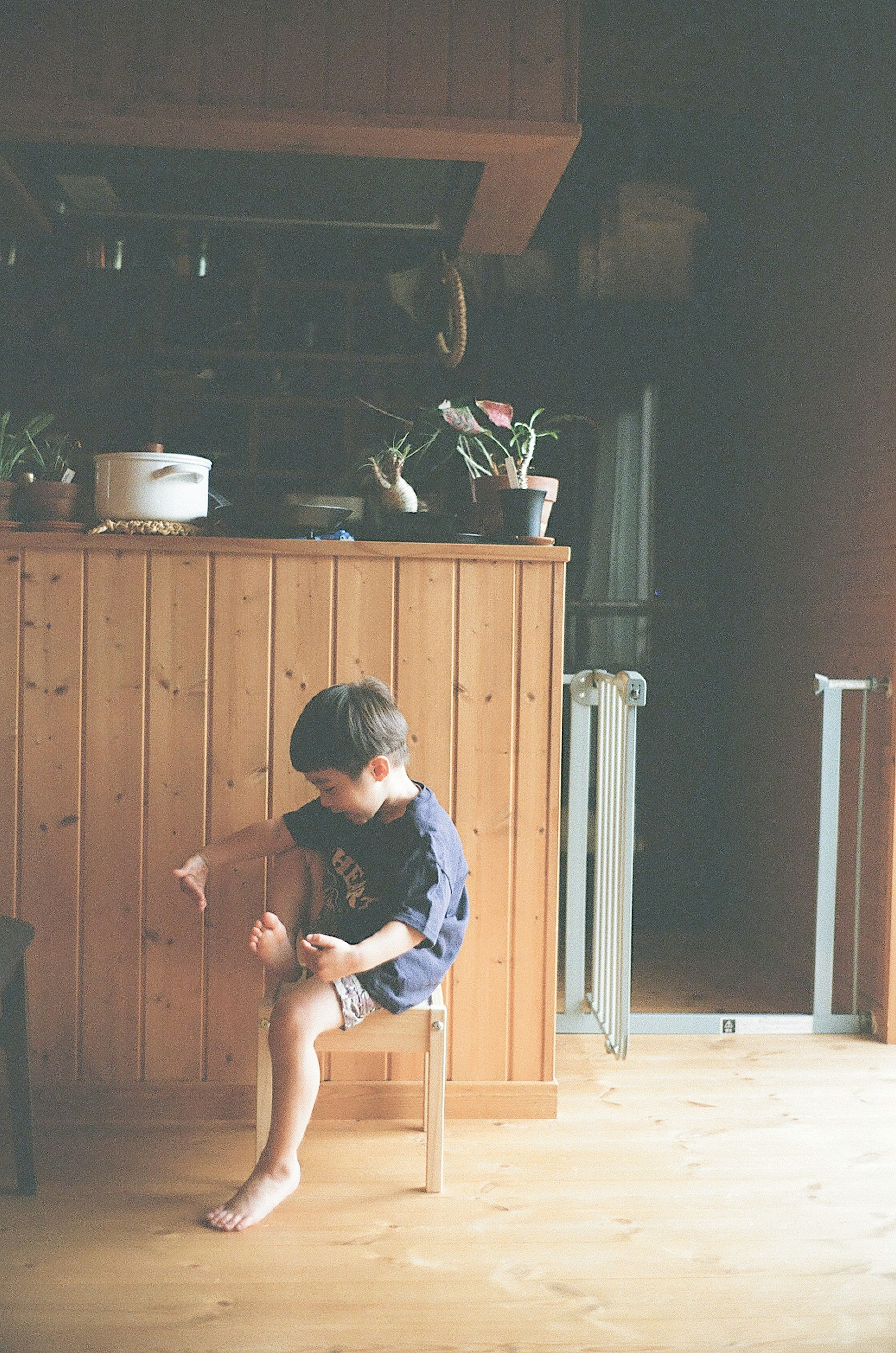 A boy sitting on a wooden chair with a kitchen background featuring plants and cooking utensils