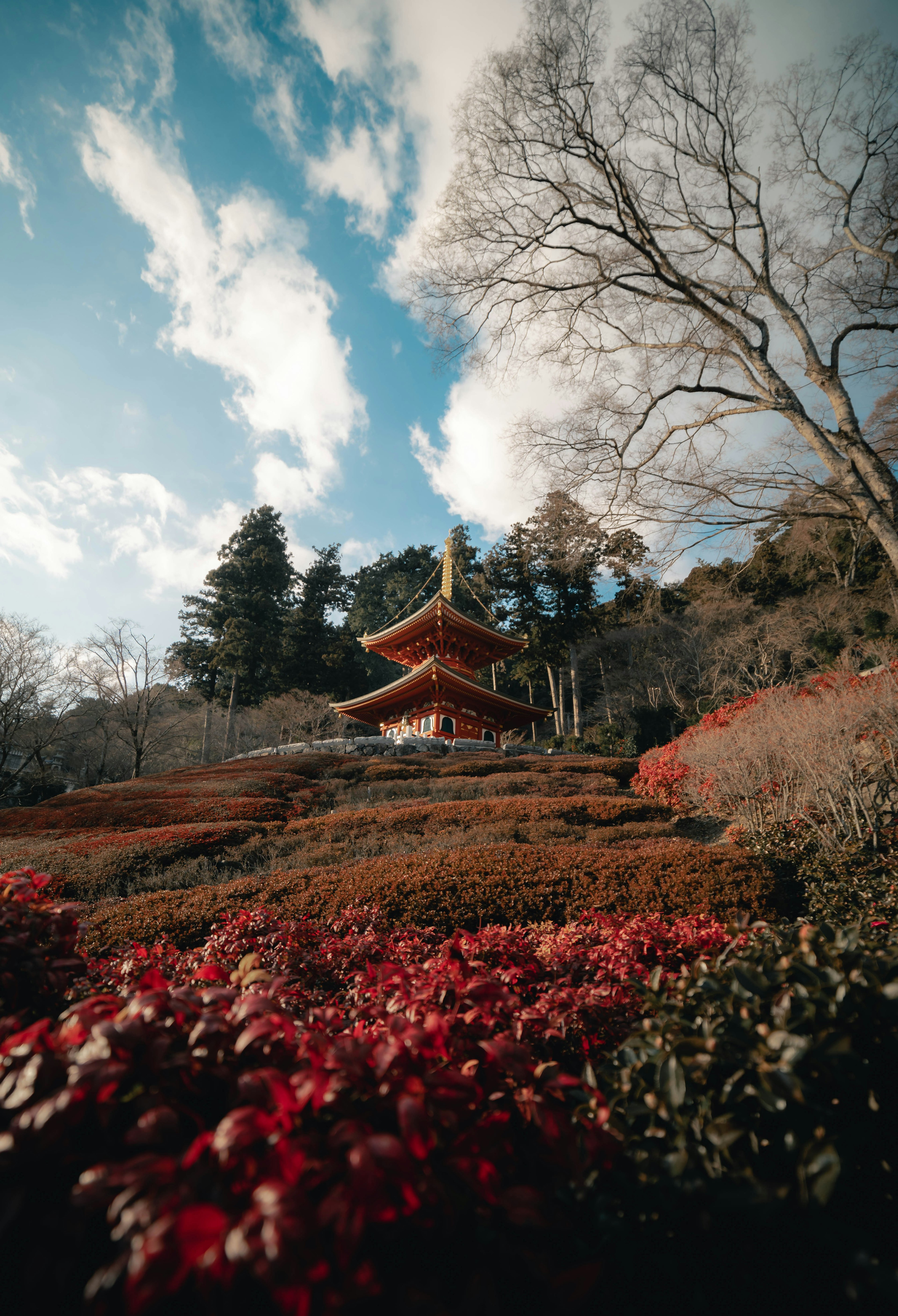 色とりどりの植栽に囲まれた美しい寺院の風景