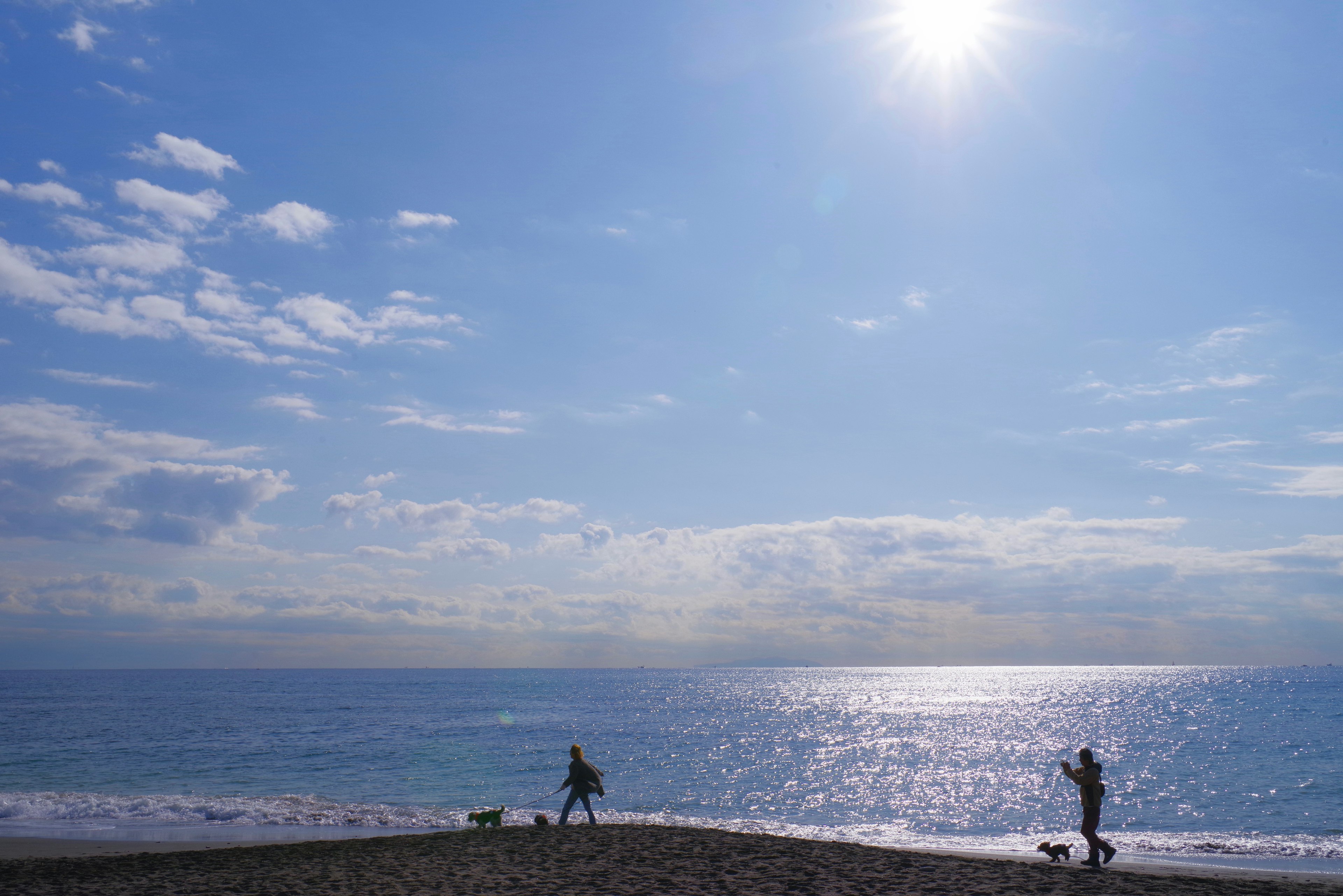 青い海と空の下で散歩する二人の人間と犬