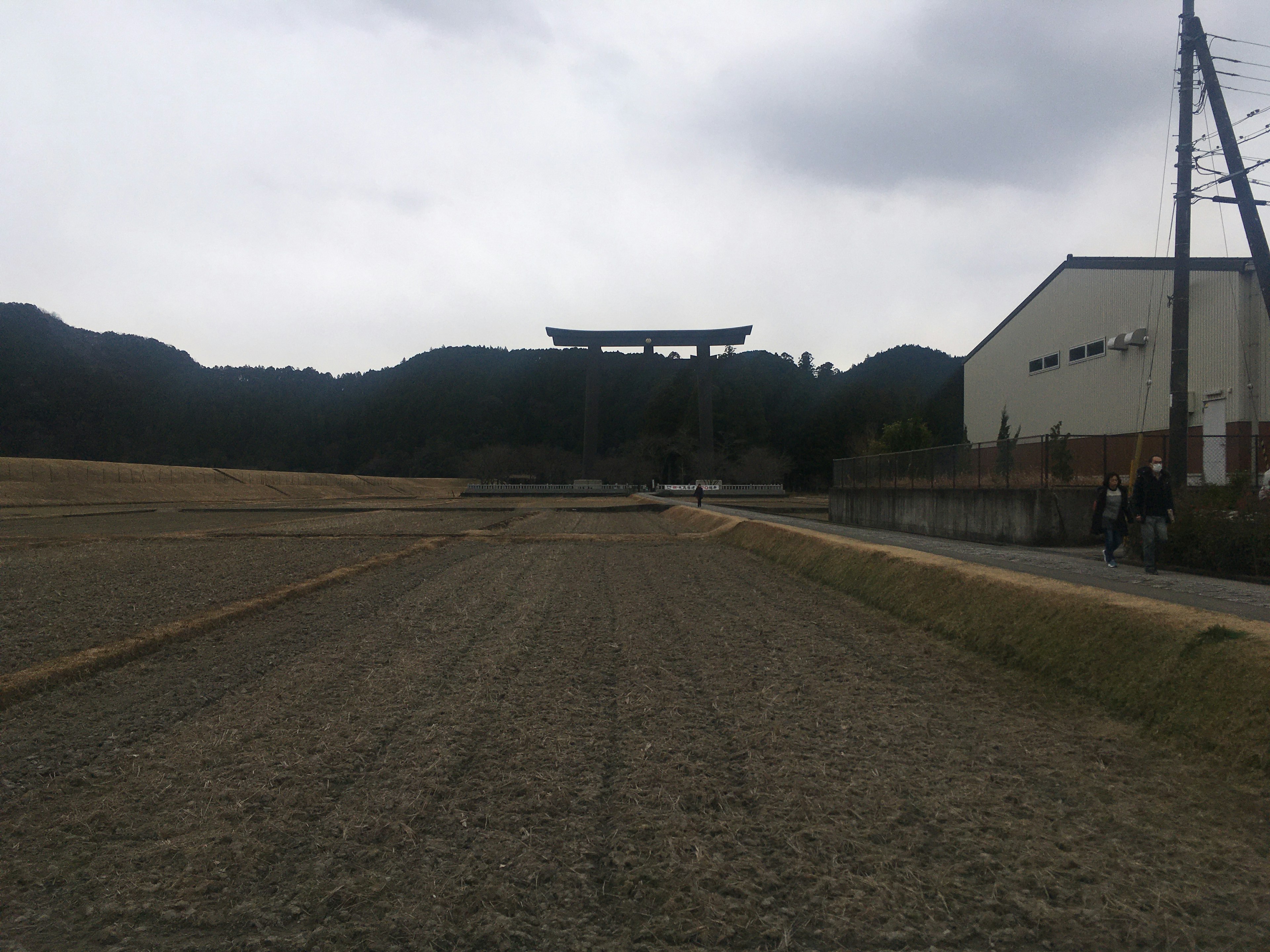 田んぼと鳥居が見える風景