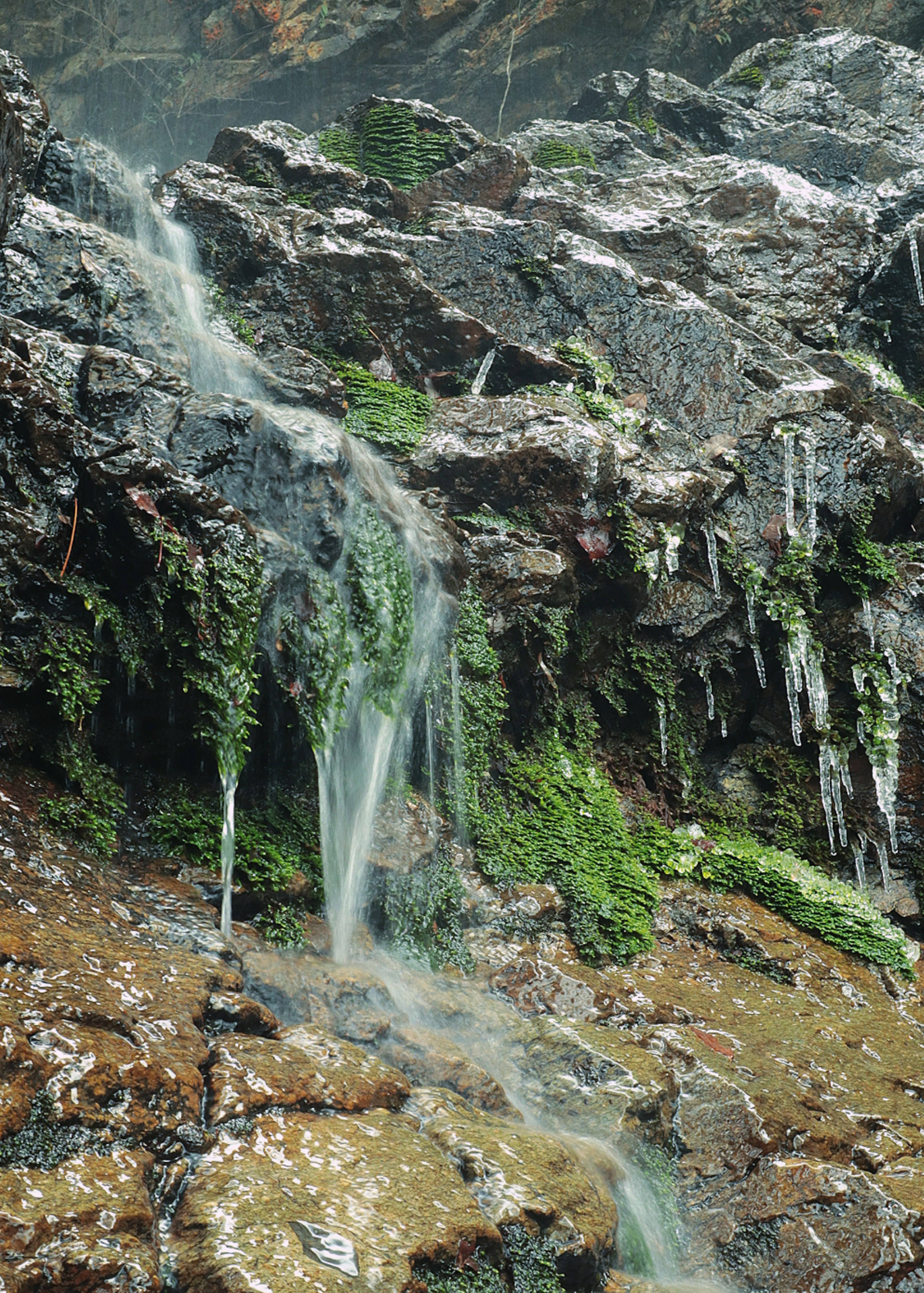 Un paesaggio naturale con acqua che scorre su superfici rocciose con ghiaccio e vegetazione