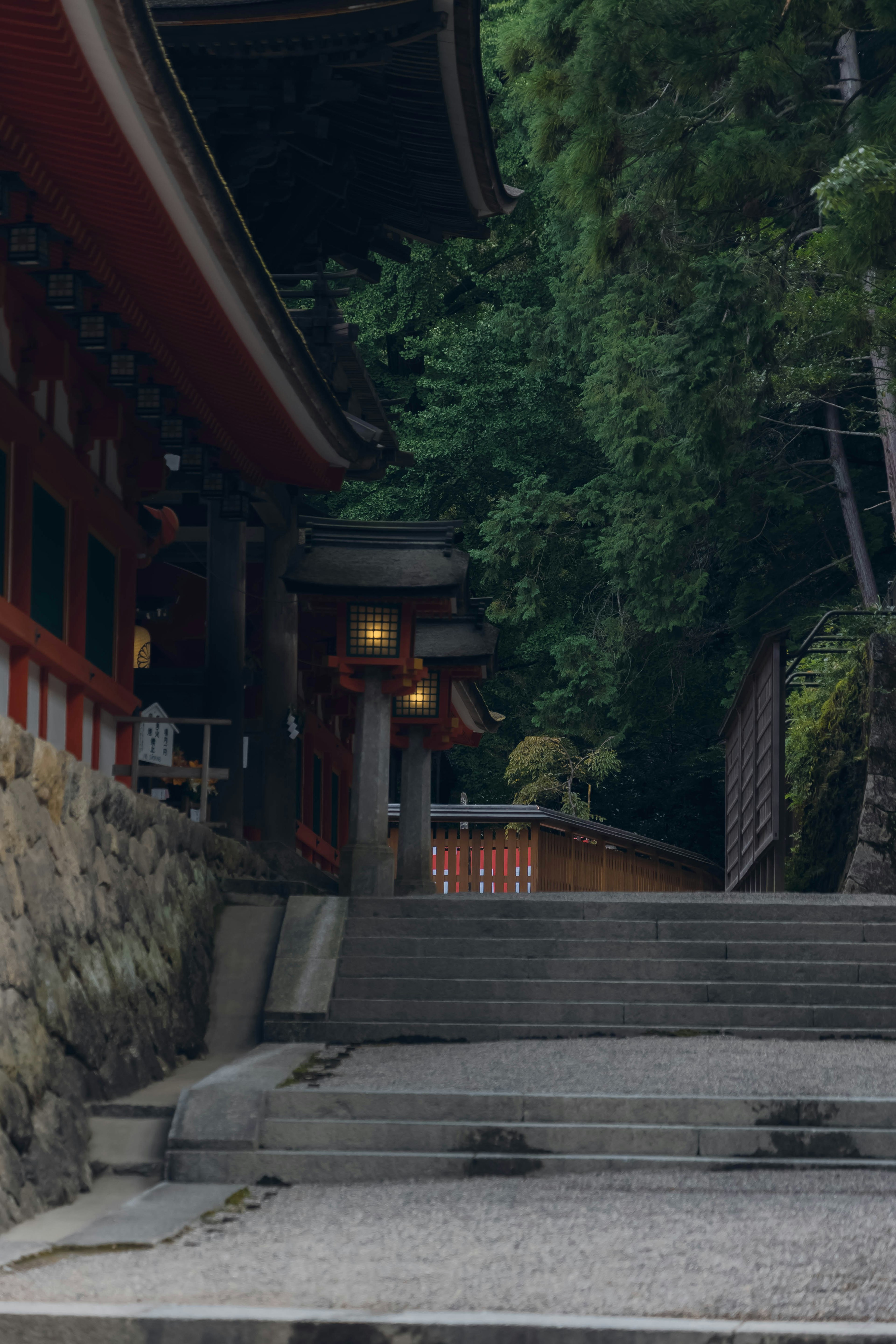 通往被郁郁蔥蔥的綠意環繞的神社的石階