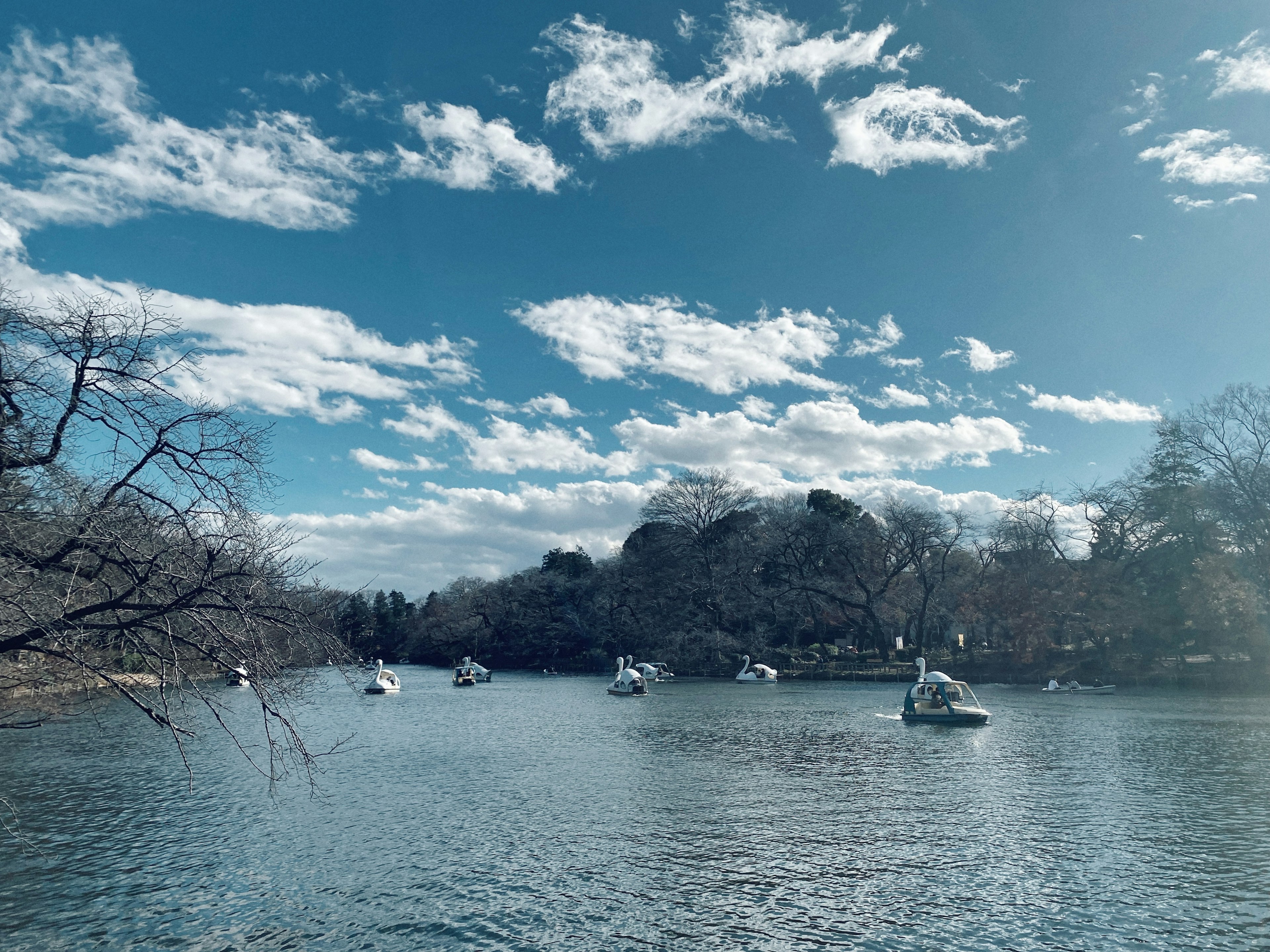 Serene lake scene with blue sky and white clouds featuring swan-shaped boats