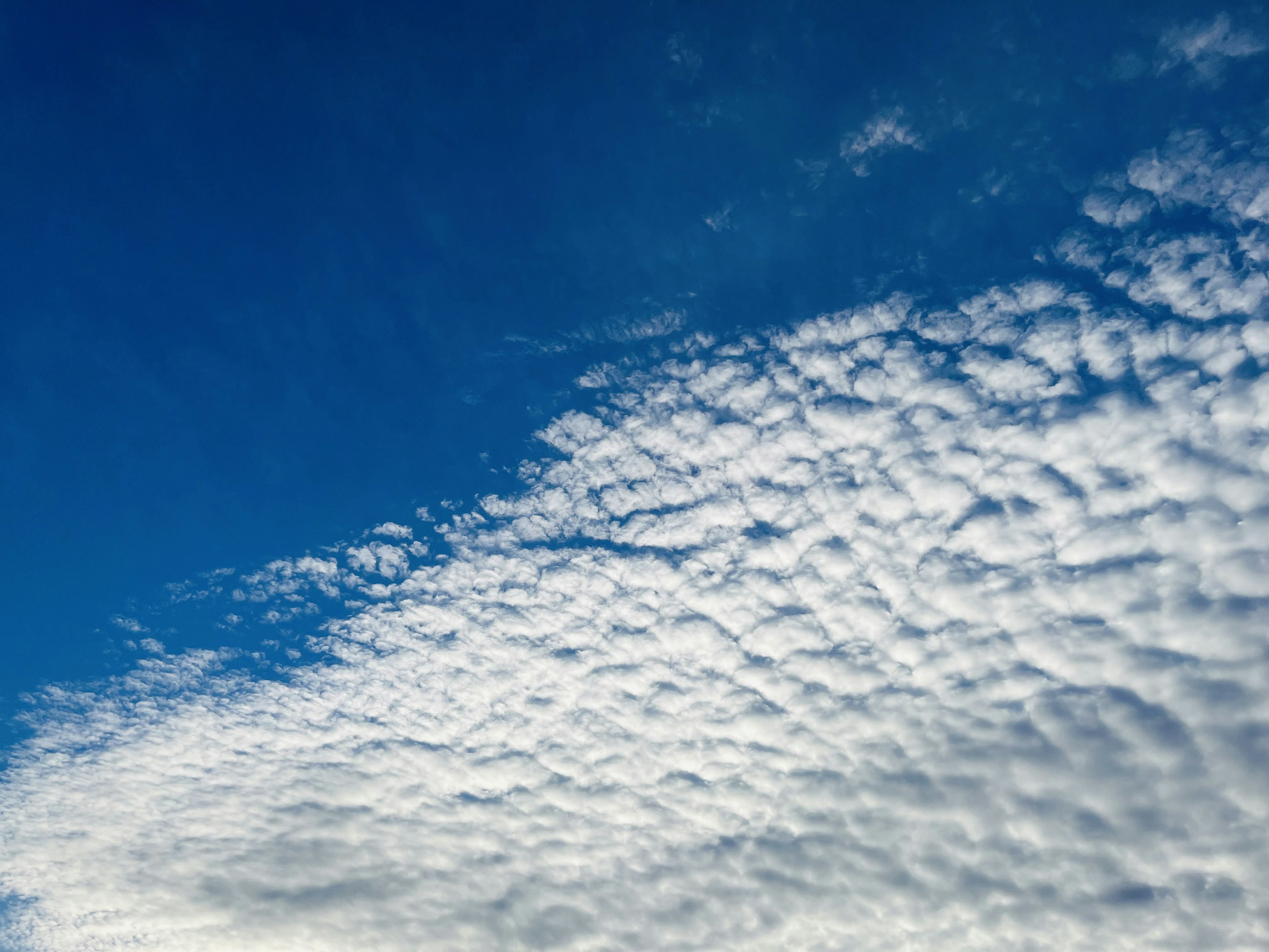 Muster aus weißen Wolken in einem blauen Himmel