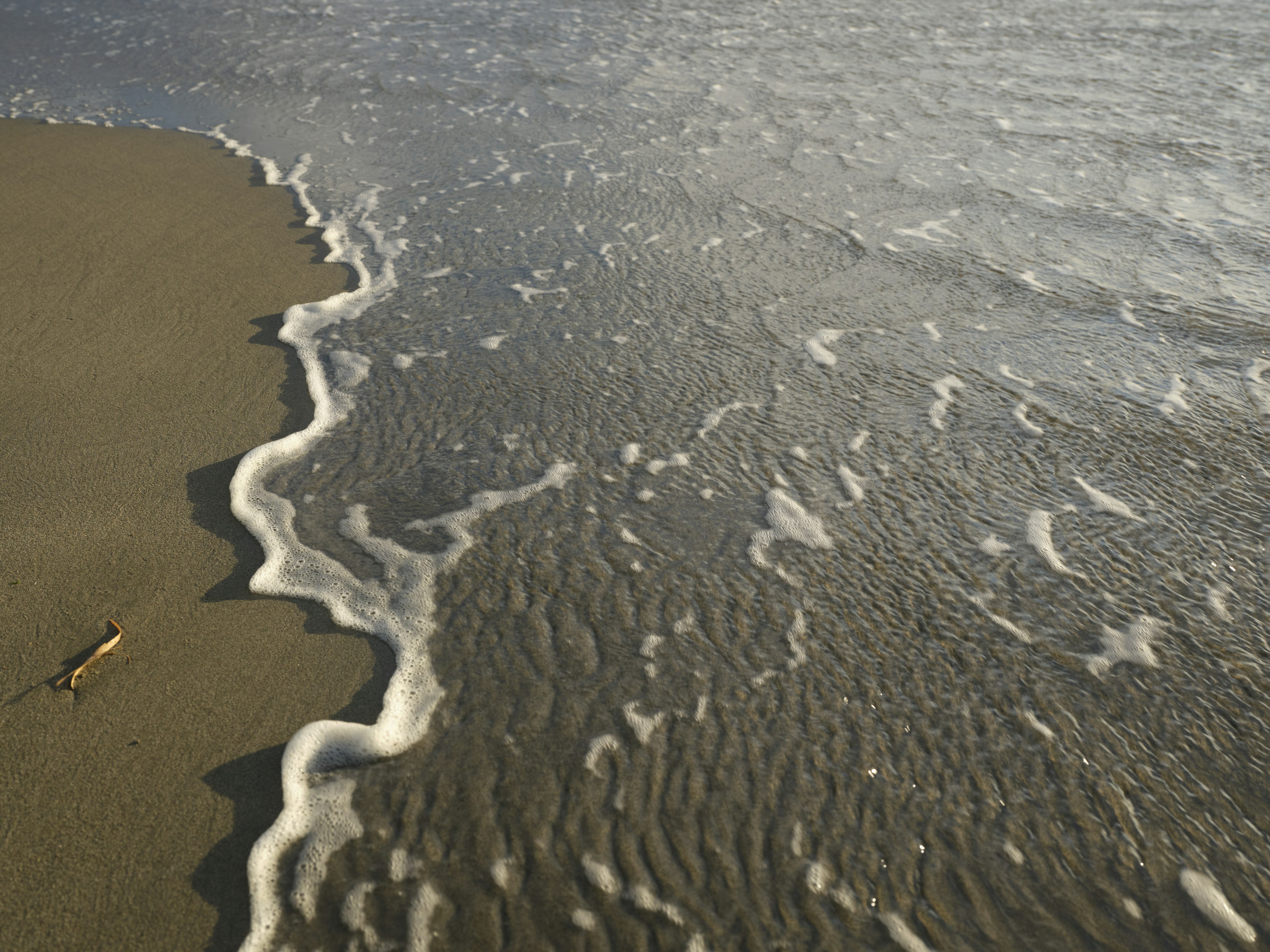 Image capturant le rivage et les vagues