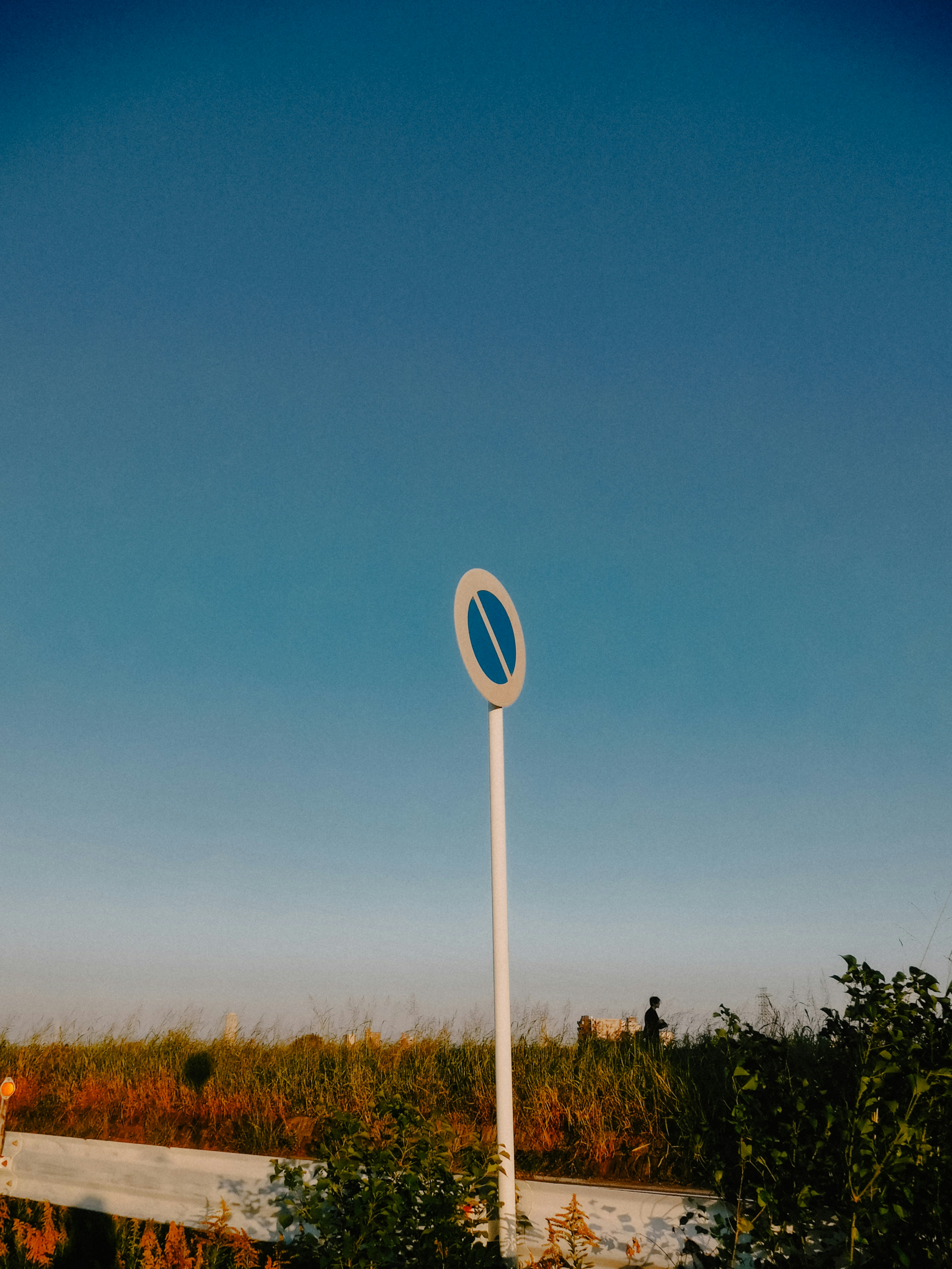 Segnale circolare bianco contro un cielo blu chiaro e un campo erboso