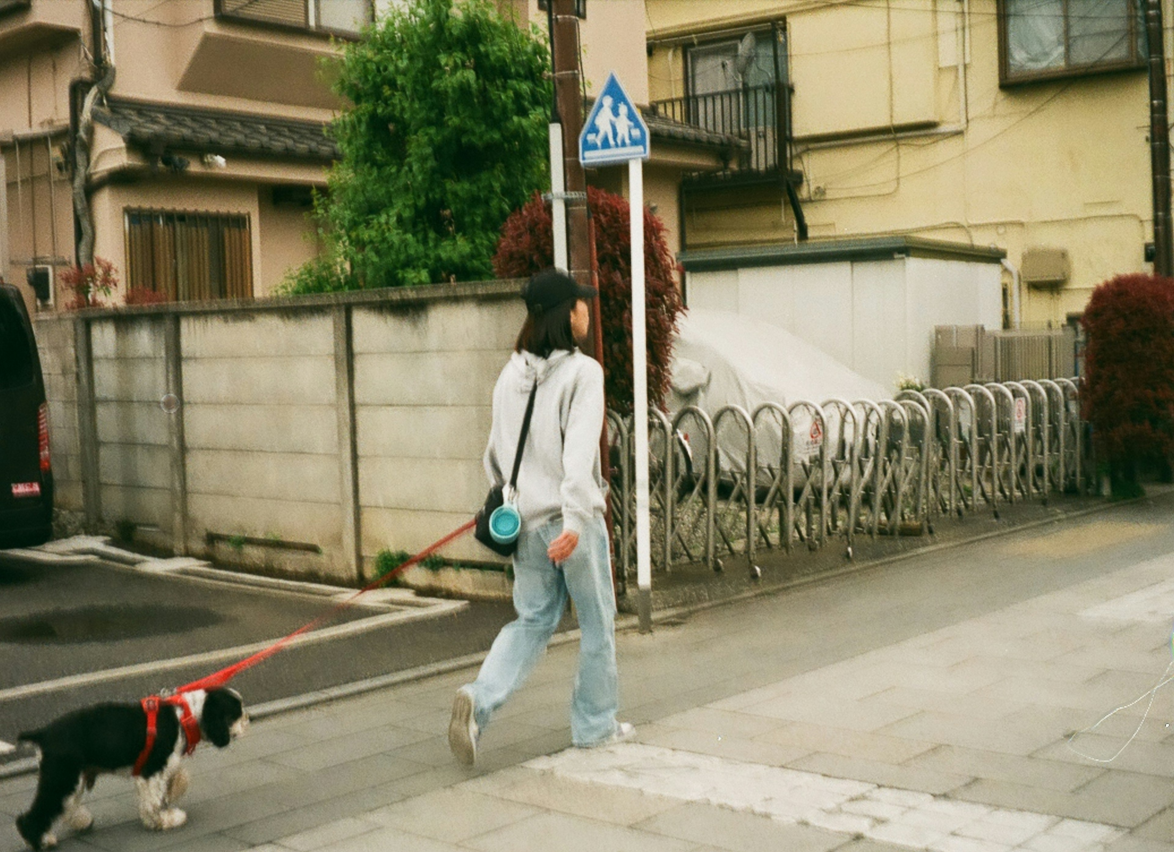 Une femme promenant un chien dans la rue avec des arbres verts et des bâtiments en arrière-plan