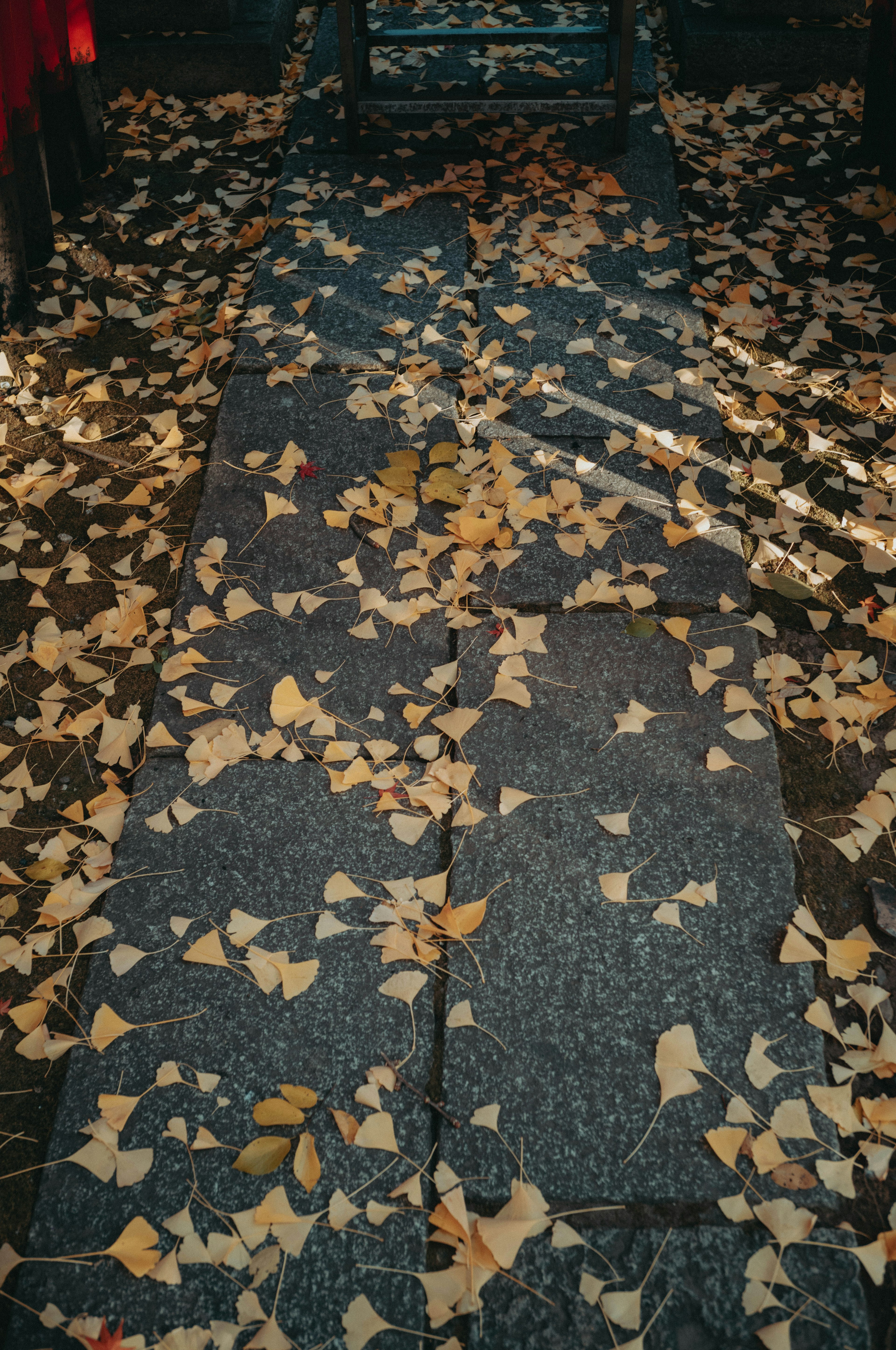 Herbstblätter auf einem gepflasterten Weg verstreut