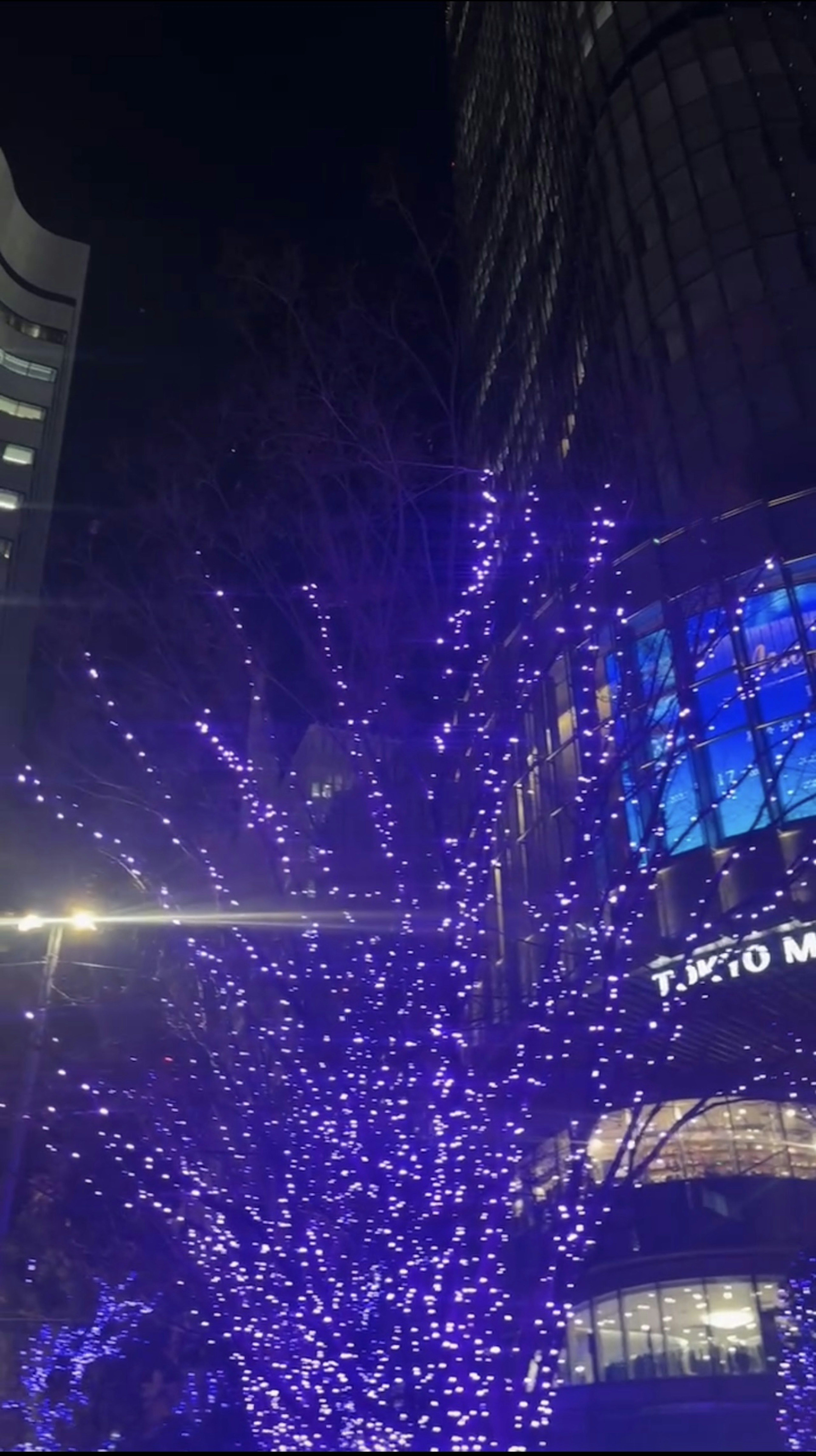 Blue illuminated tree at night in Tokyo with buildings in background