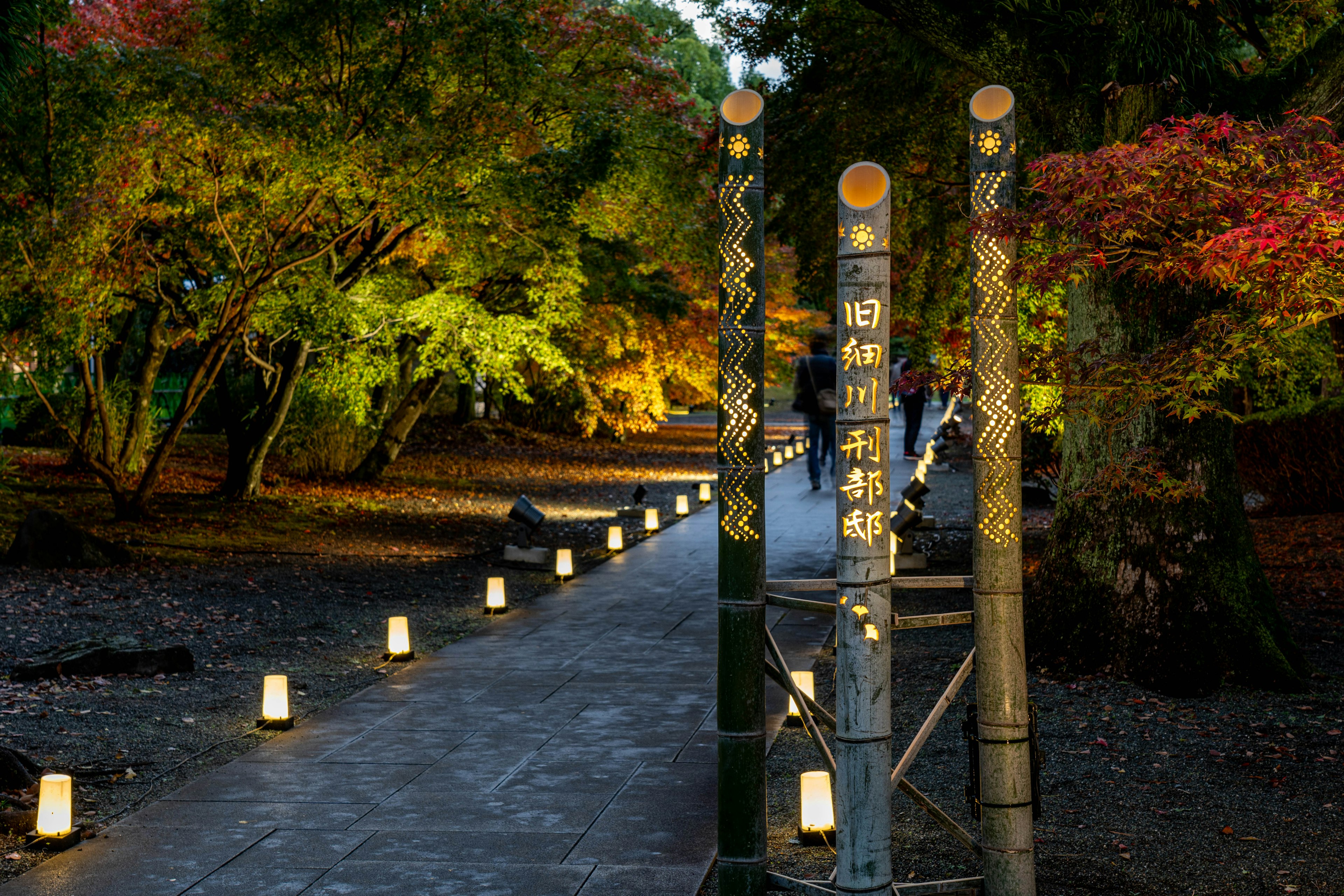 静かな道と灯篭が並ぶ美しい公園の夜景