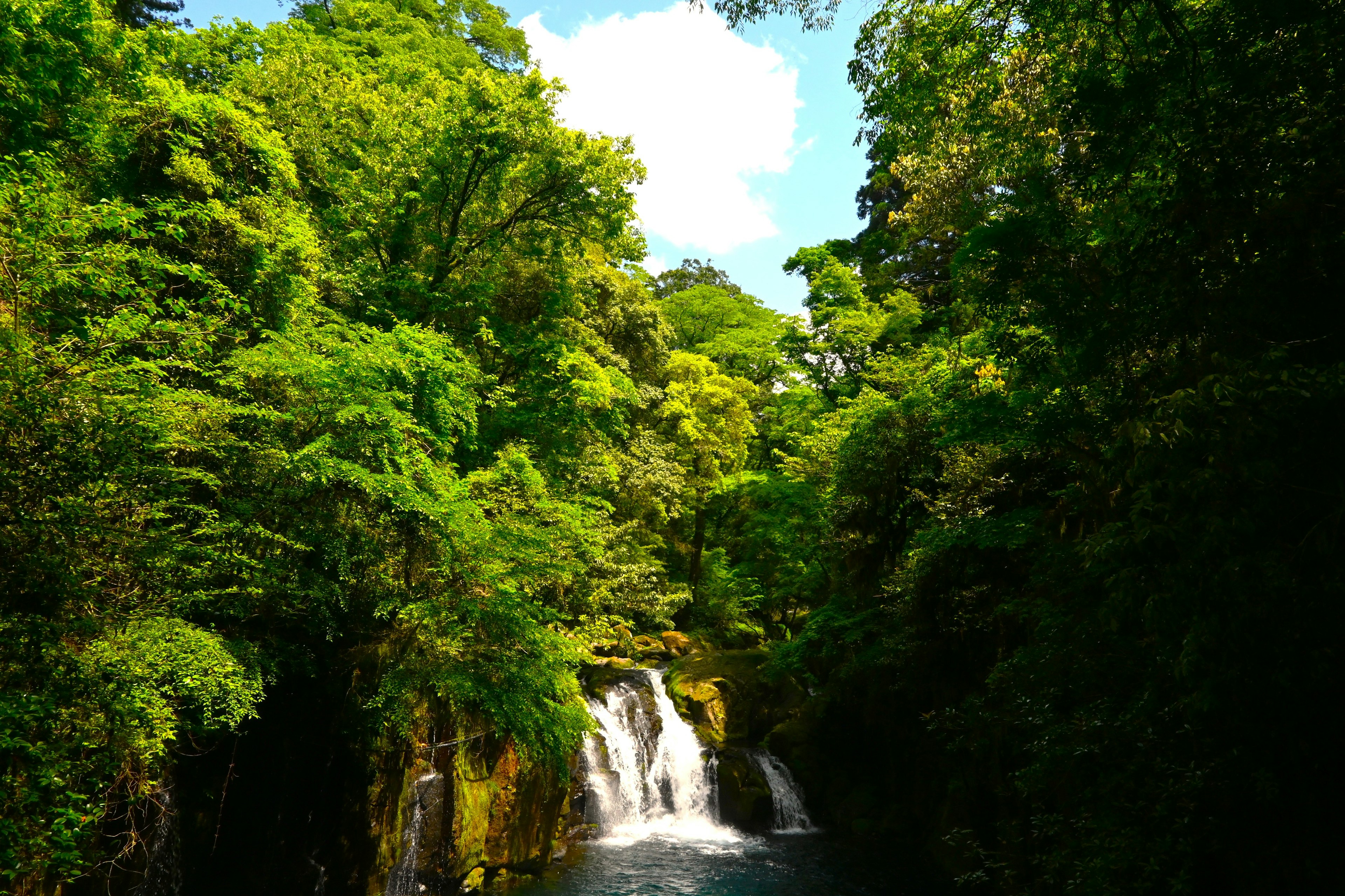 緑豊かな森林に囲まれた美しい滝の風景