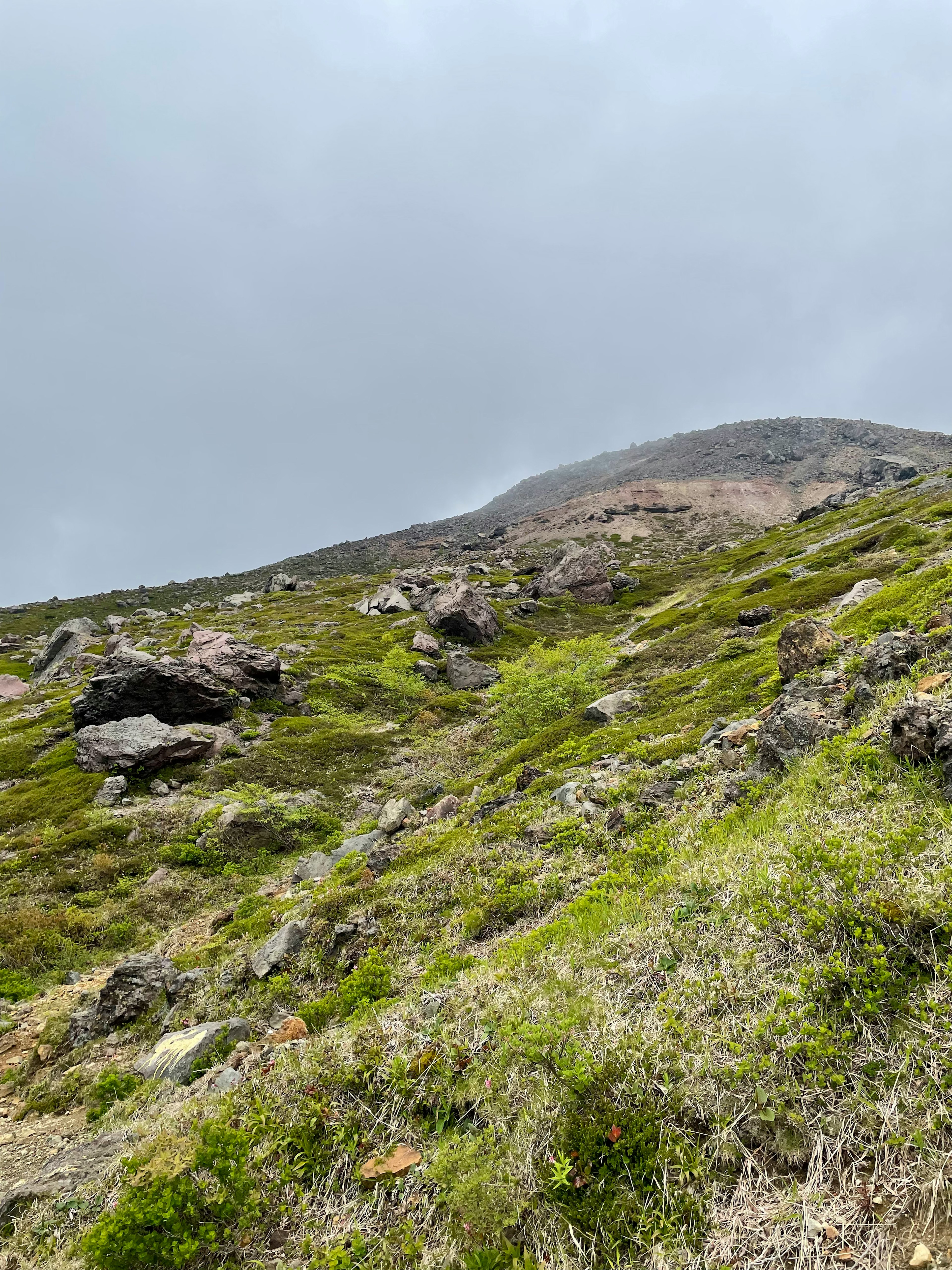 Pendio di montagna con rocce e erba verde