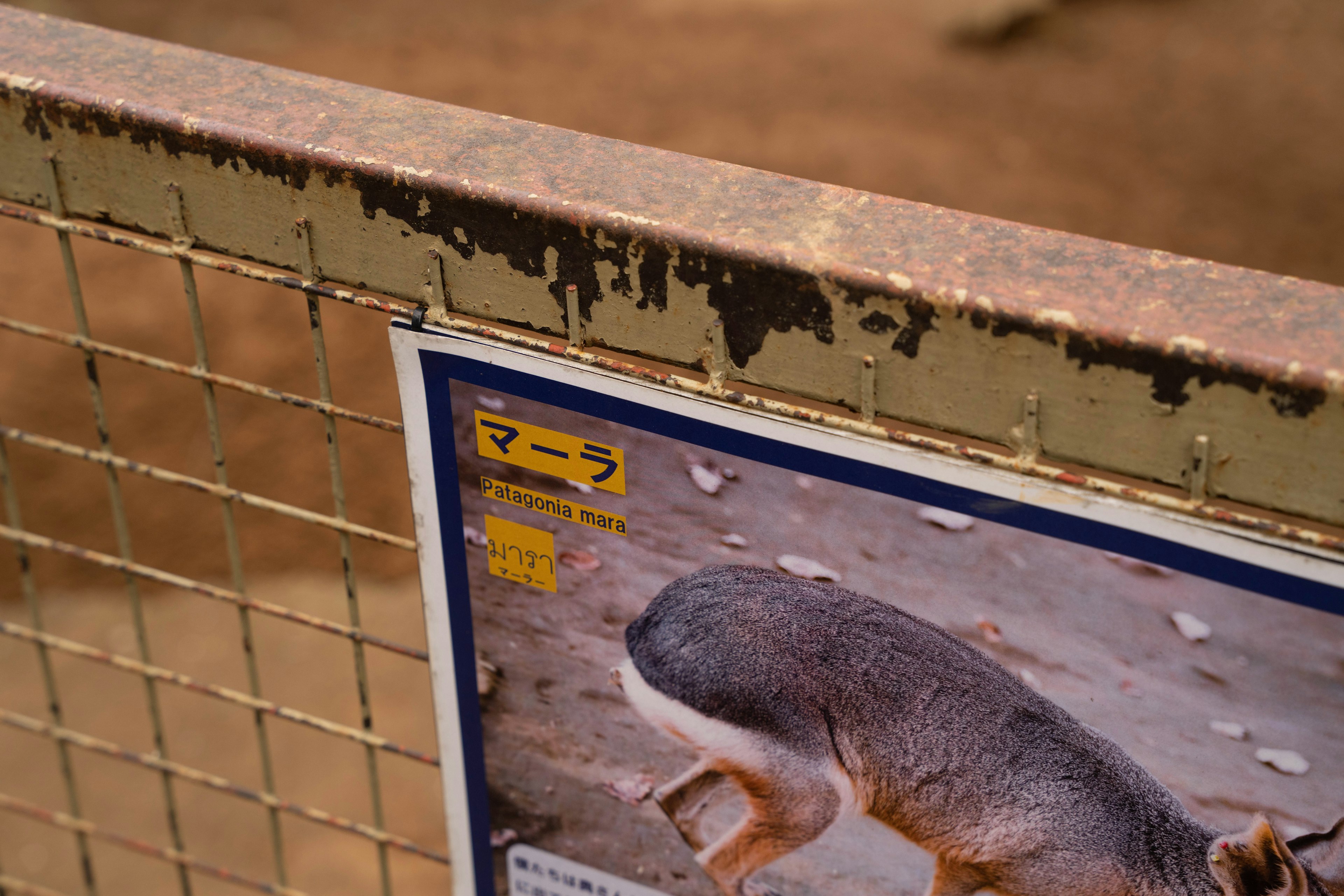 フェンスに取り付けられた動物の情報プレートの一部が写っている画像