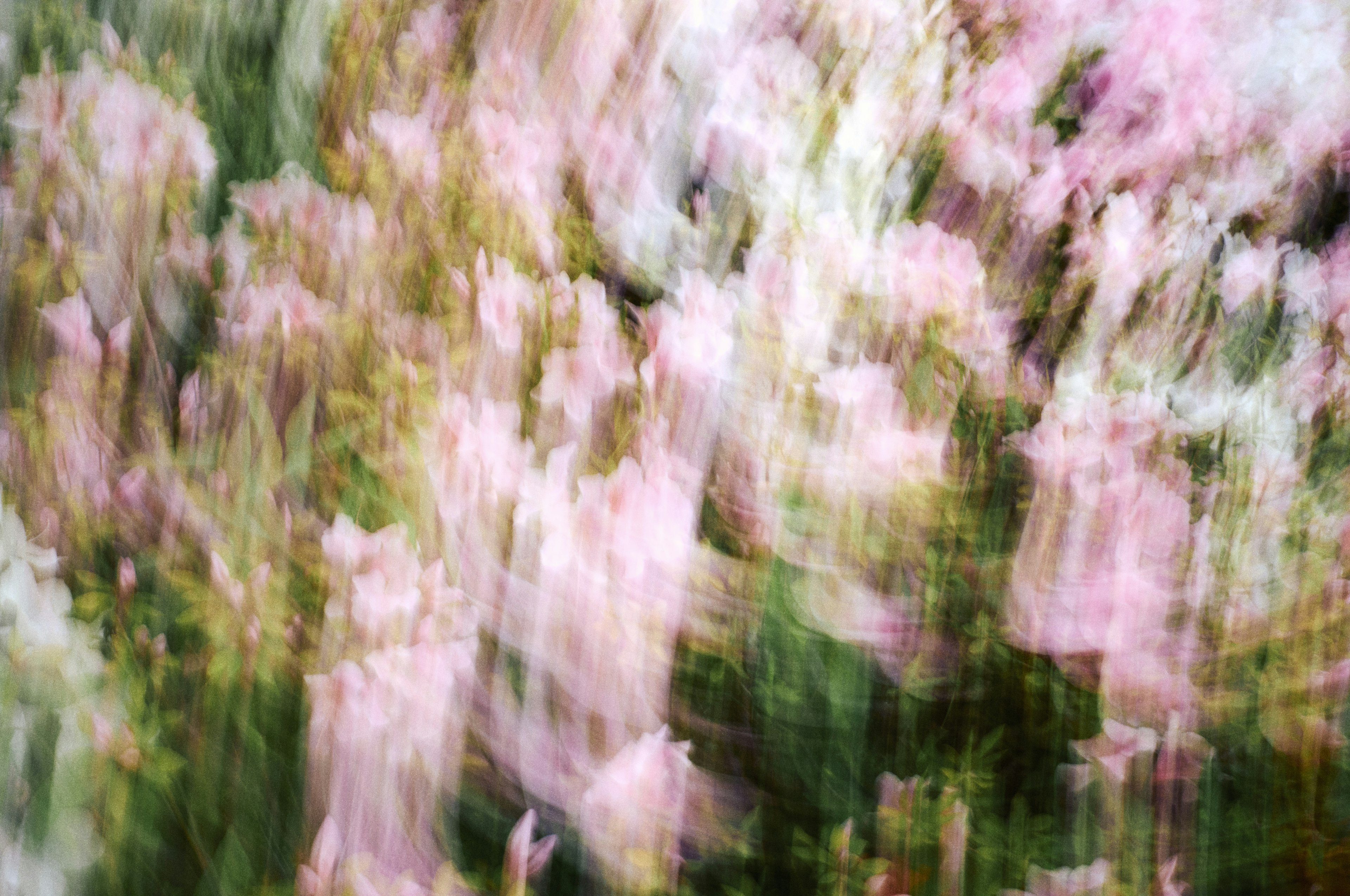 Abstrakte Landschaft mit verschwommenen rosa Blumen und grünen Blättern