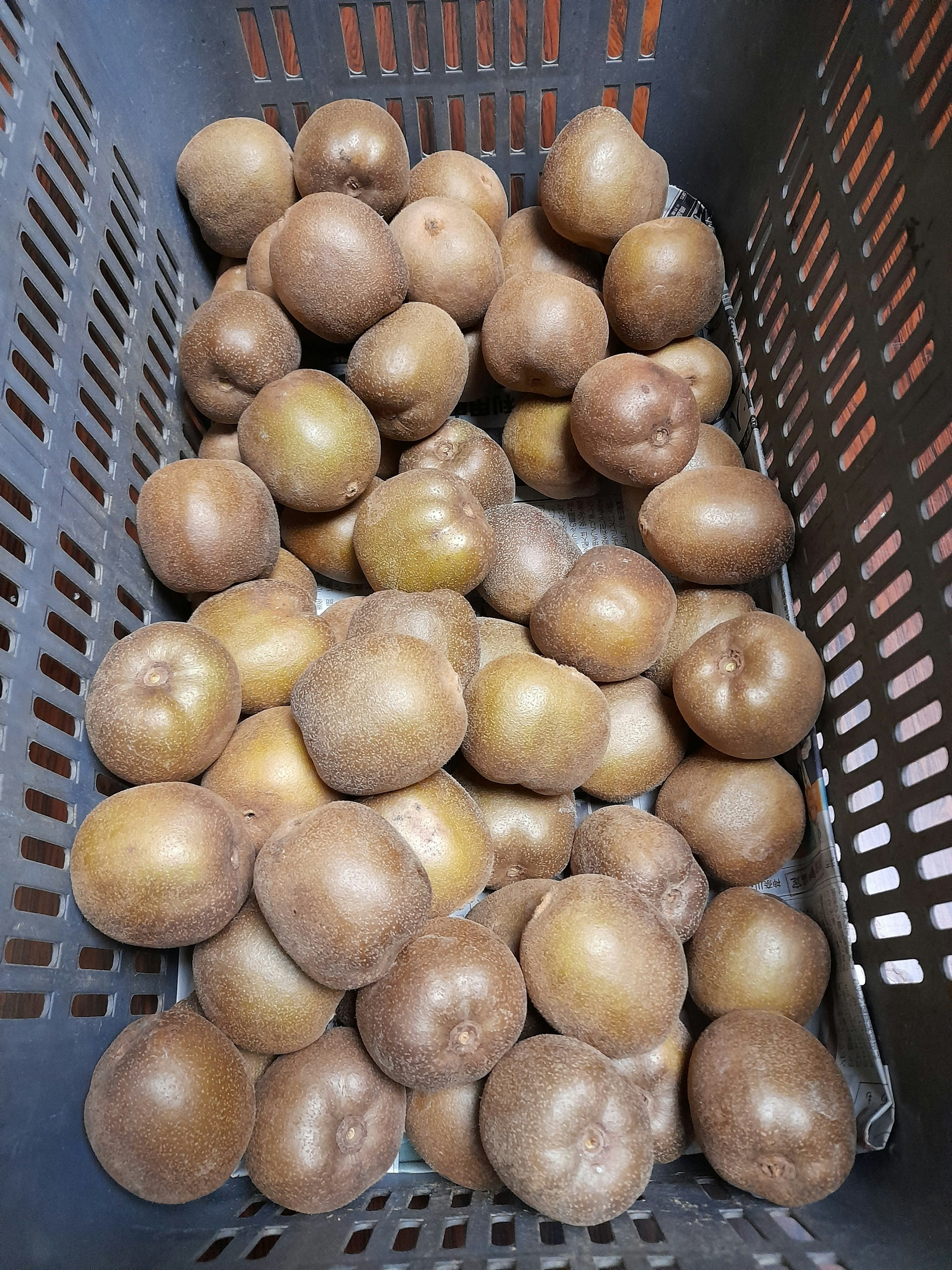 A large quantity of round brown fruits in a black basket