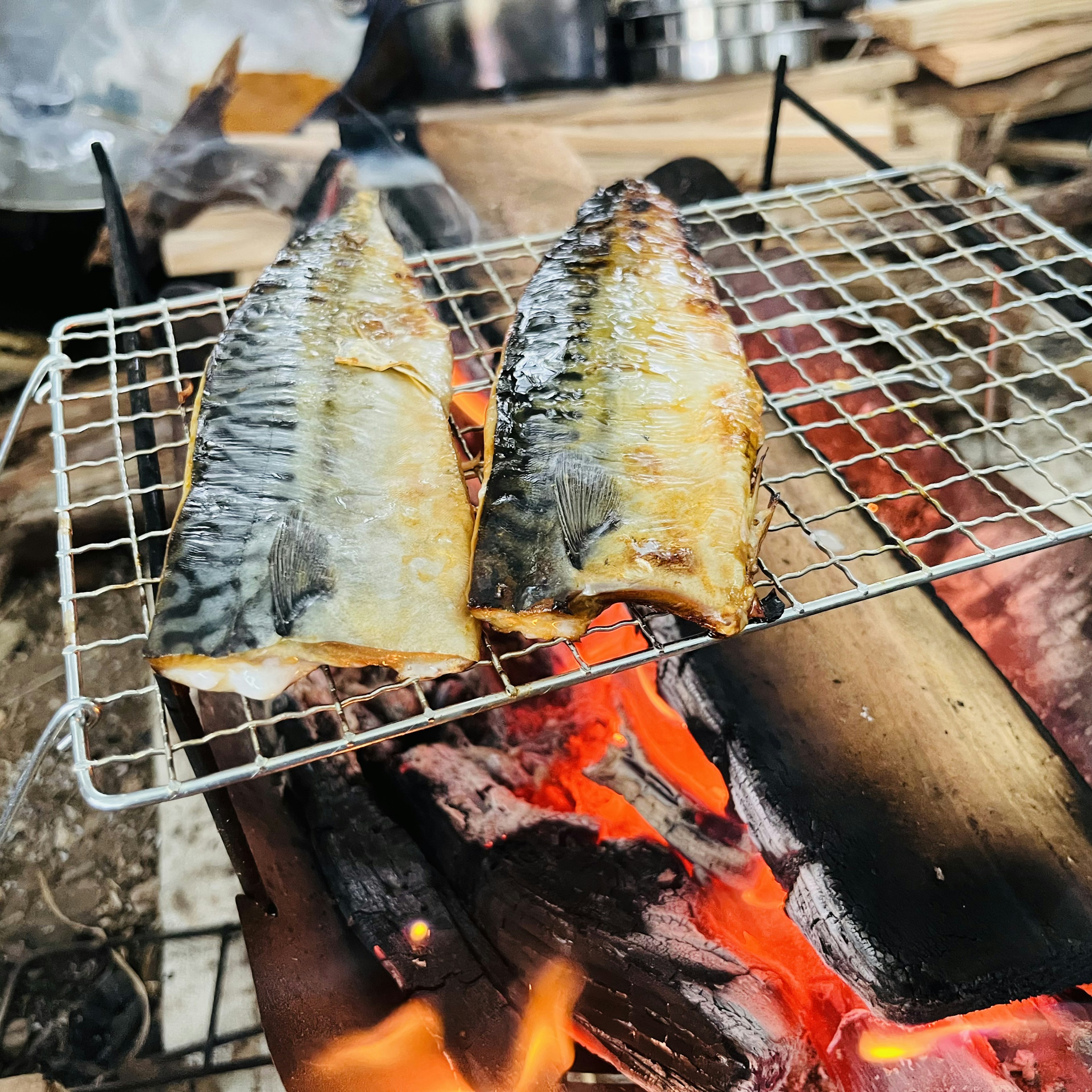 Filetes de caballa asándose sobre una llama abierta en una rejilla