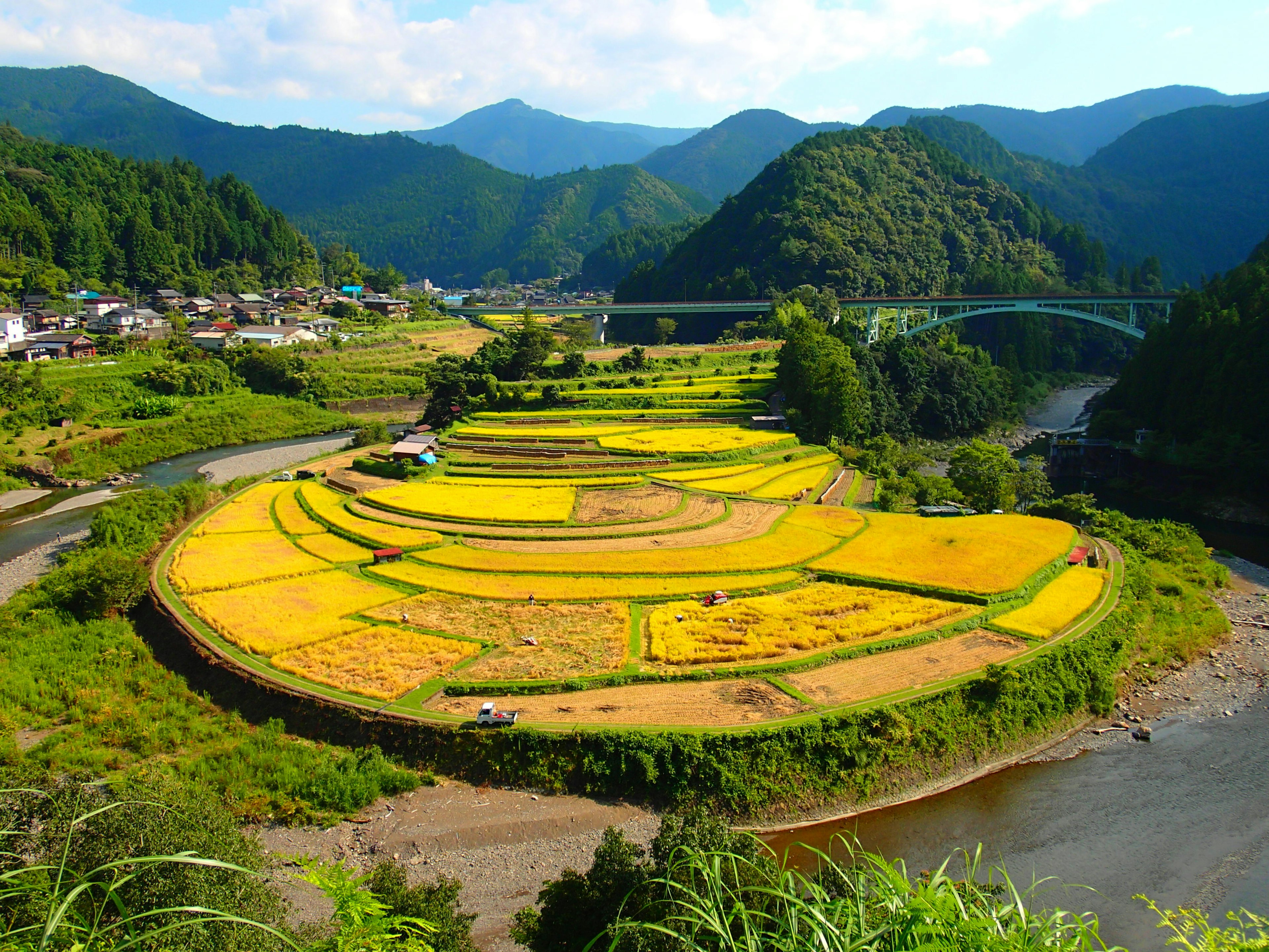 美しい円形の稲作田が広がる風景と山々