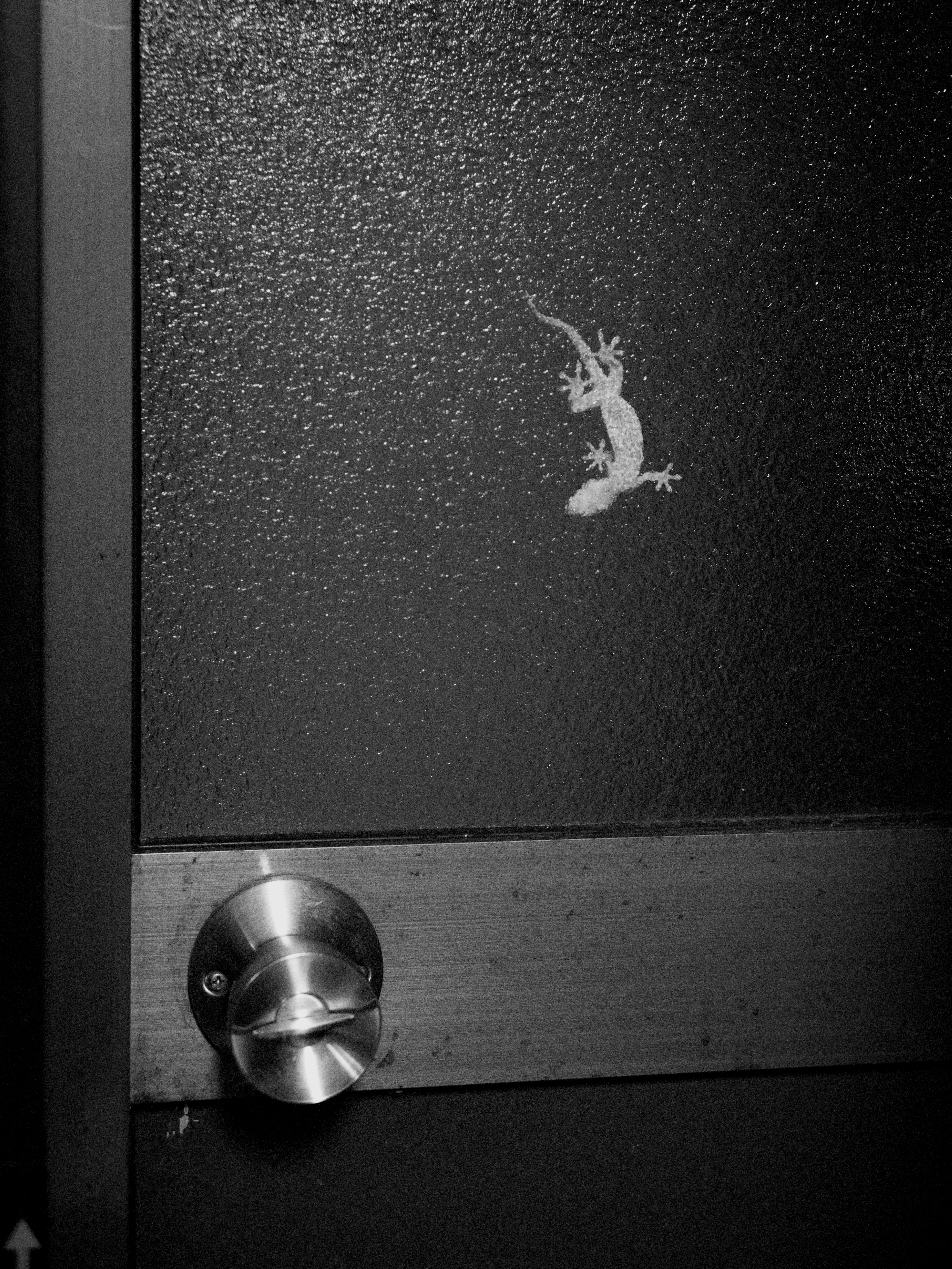 White lizard illustration on a door with a metallic doorknob