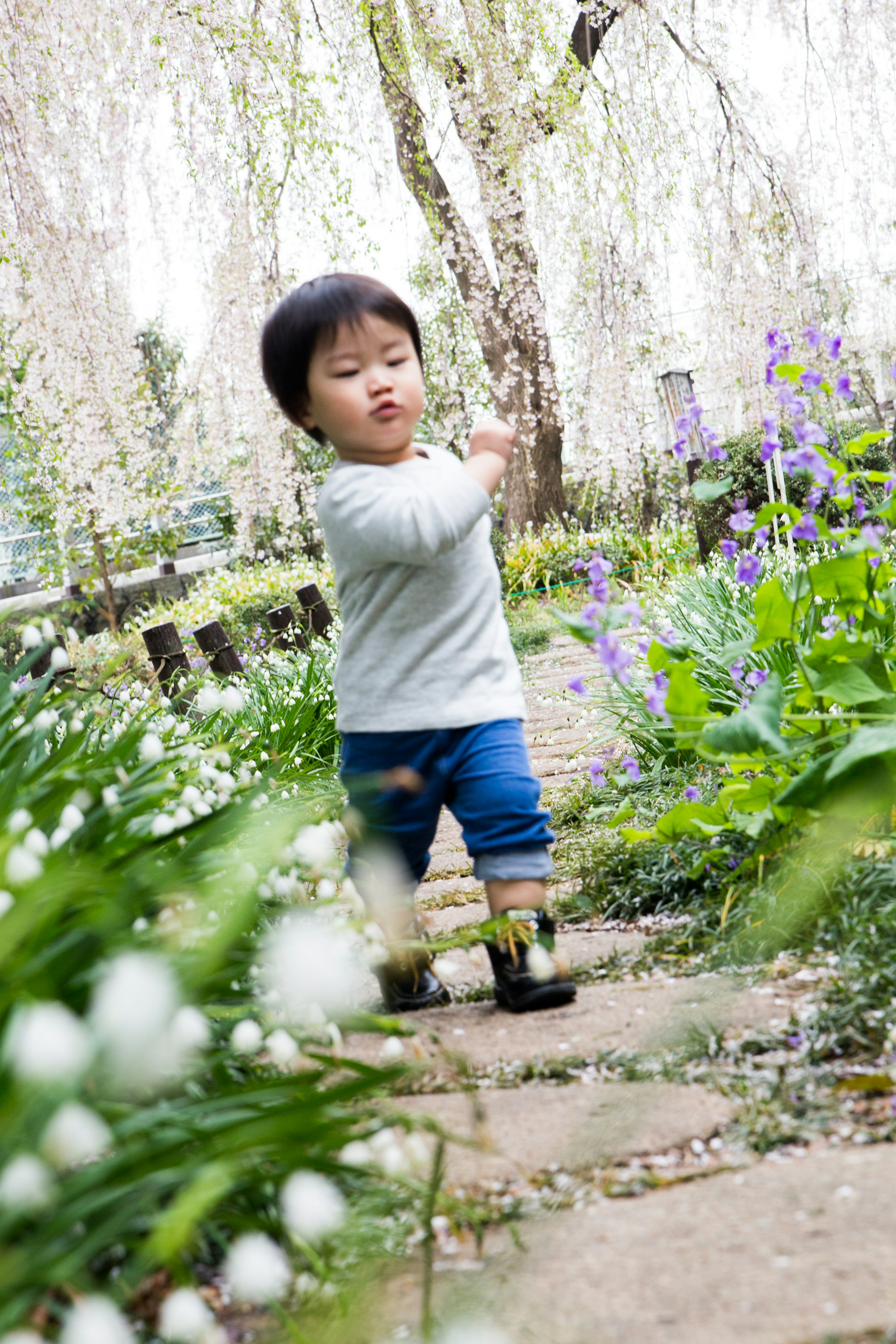 A small child walking through a flower-filled garden