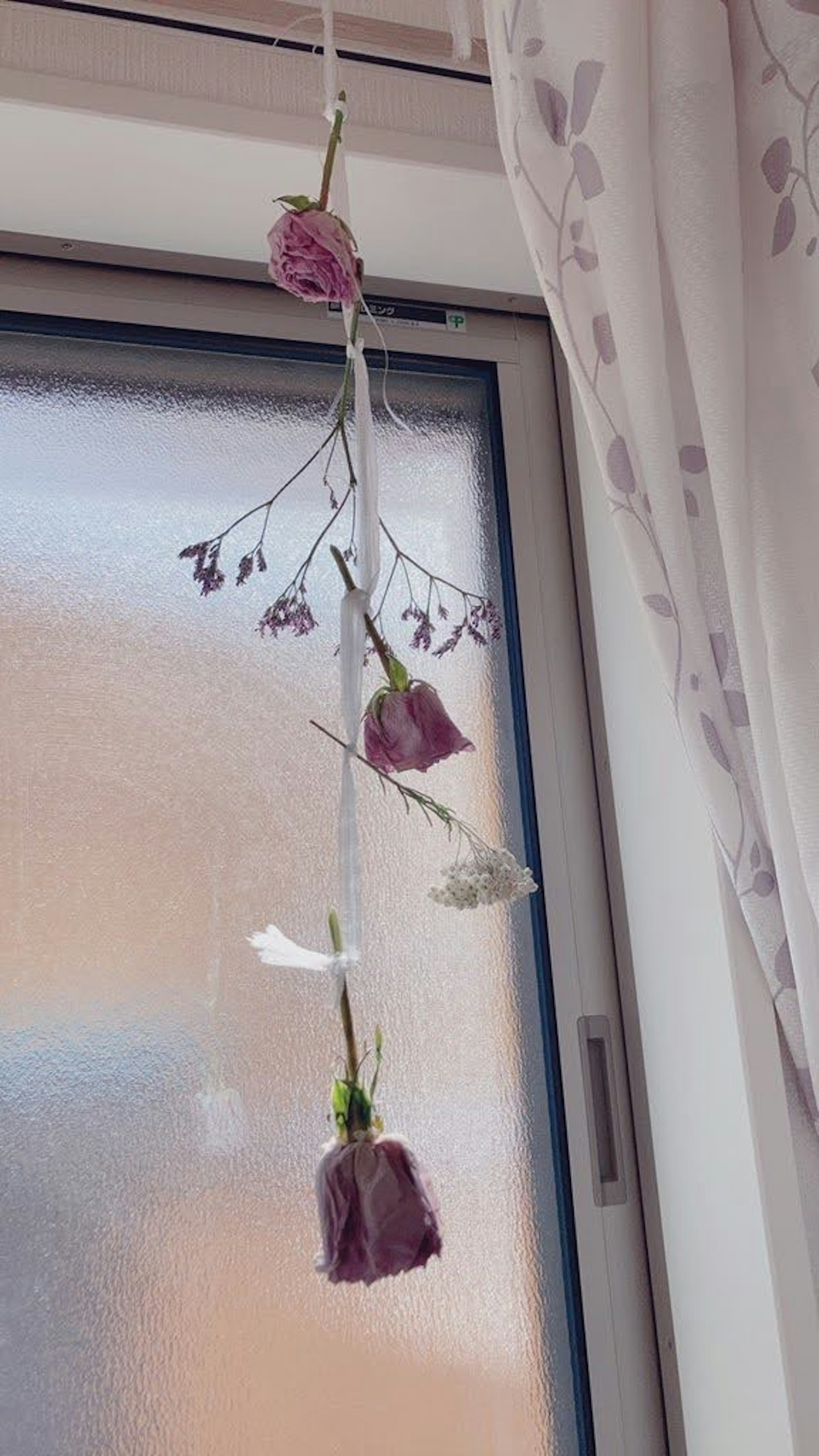 A bunch of dried flowers hanging by the window catching soft light