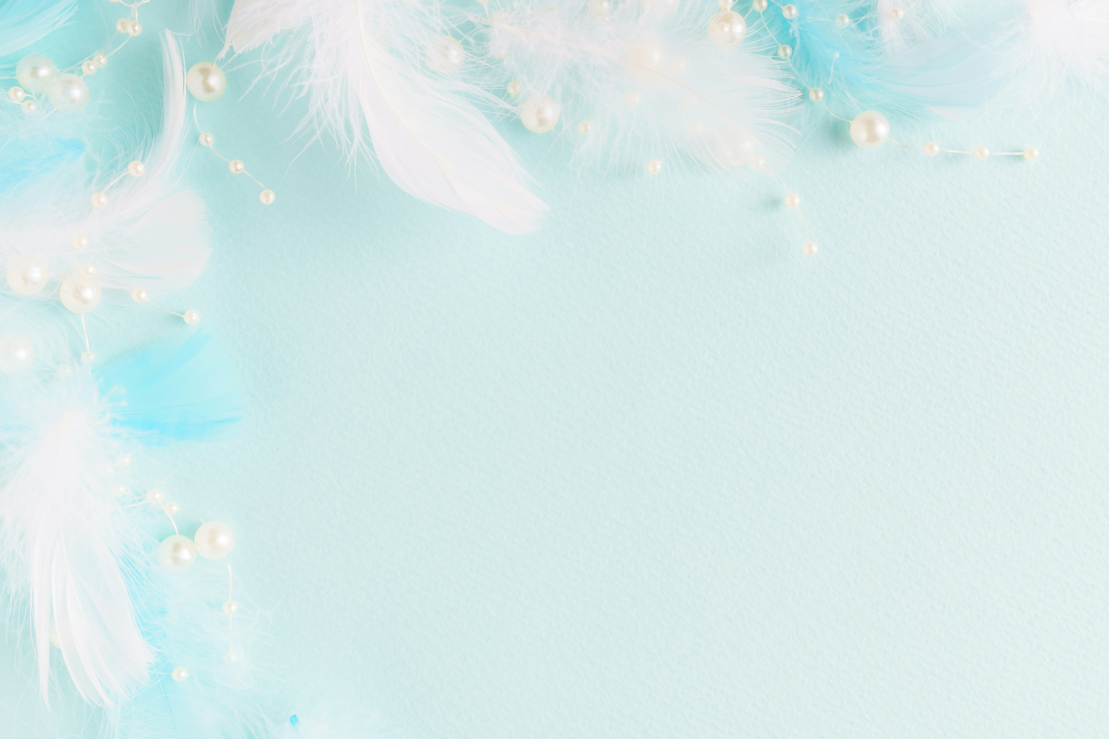 Beautiful design featuring white feathers and pearls on a blue background