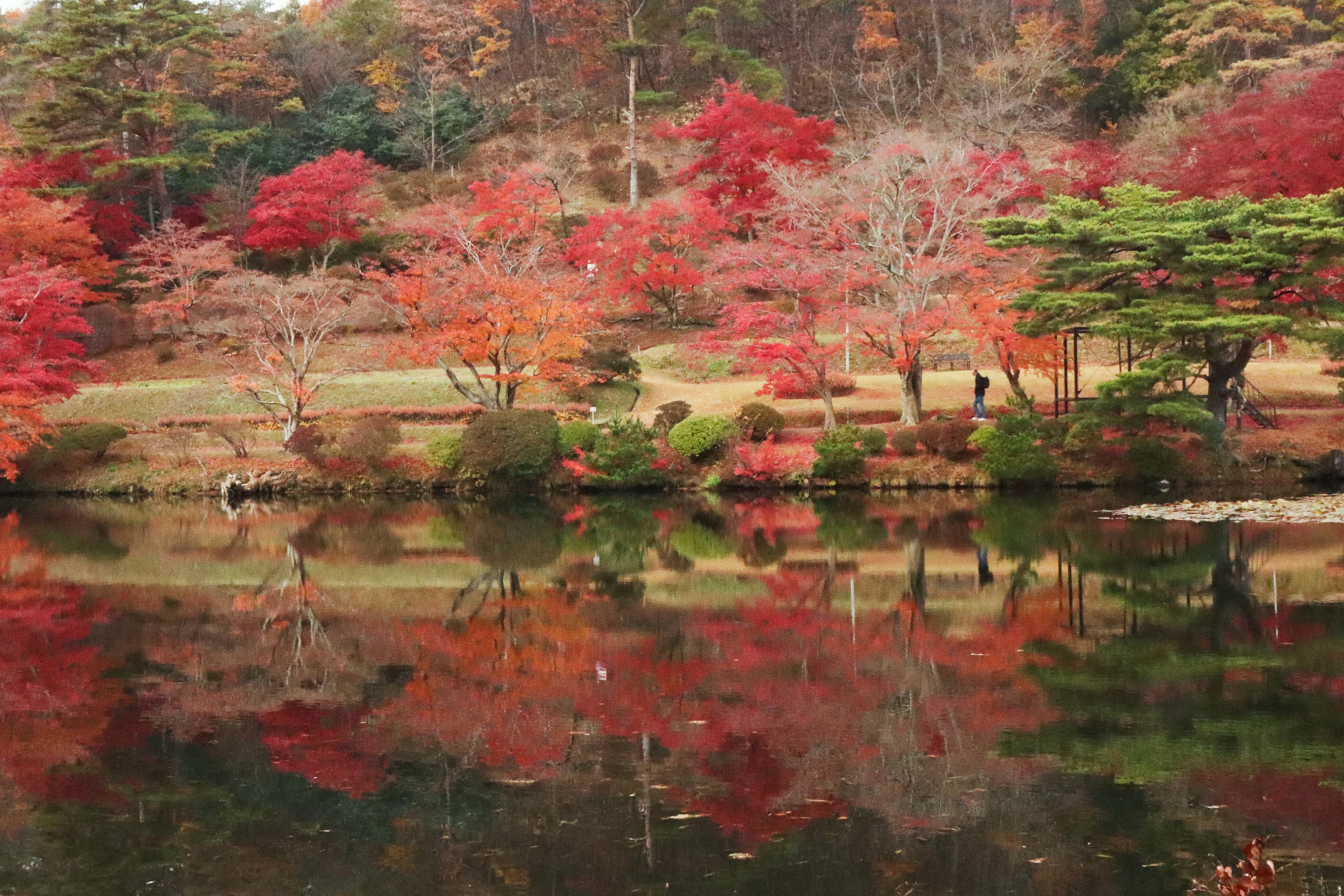 Hermoso paisaje otoñal con follaje colorido reflejándose en el lago