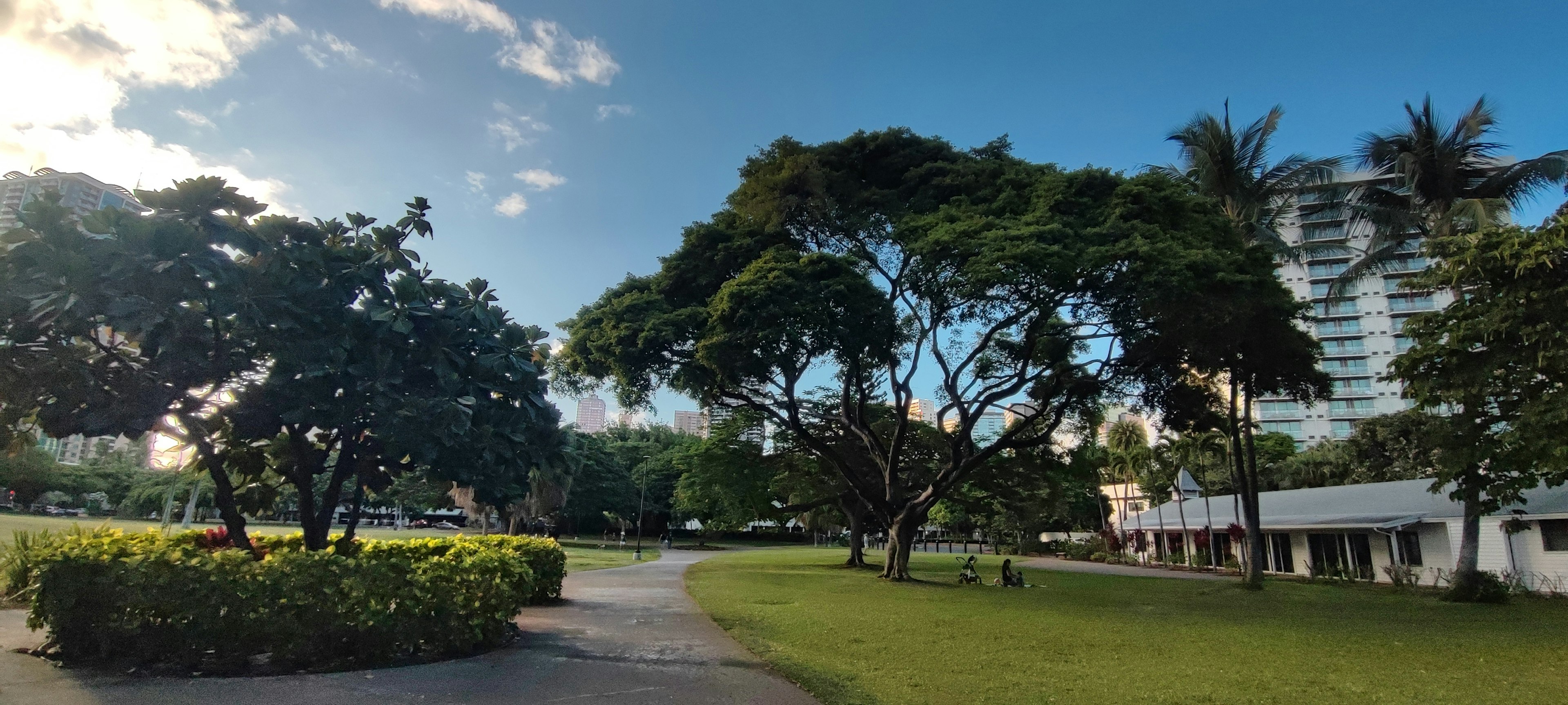 宽敞的公园景观，郁郁葱葱的树木和蓝天，有小径和建筑