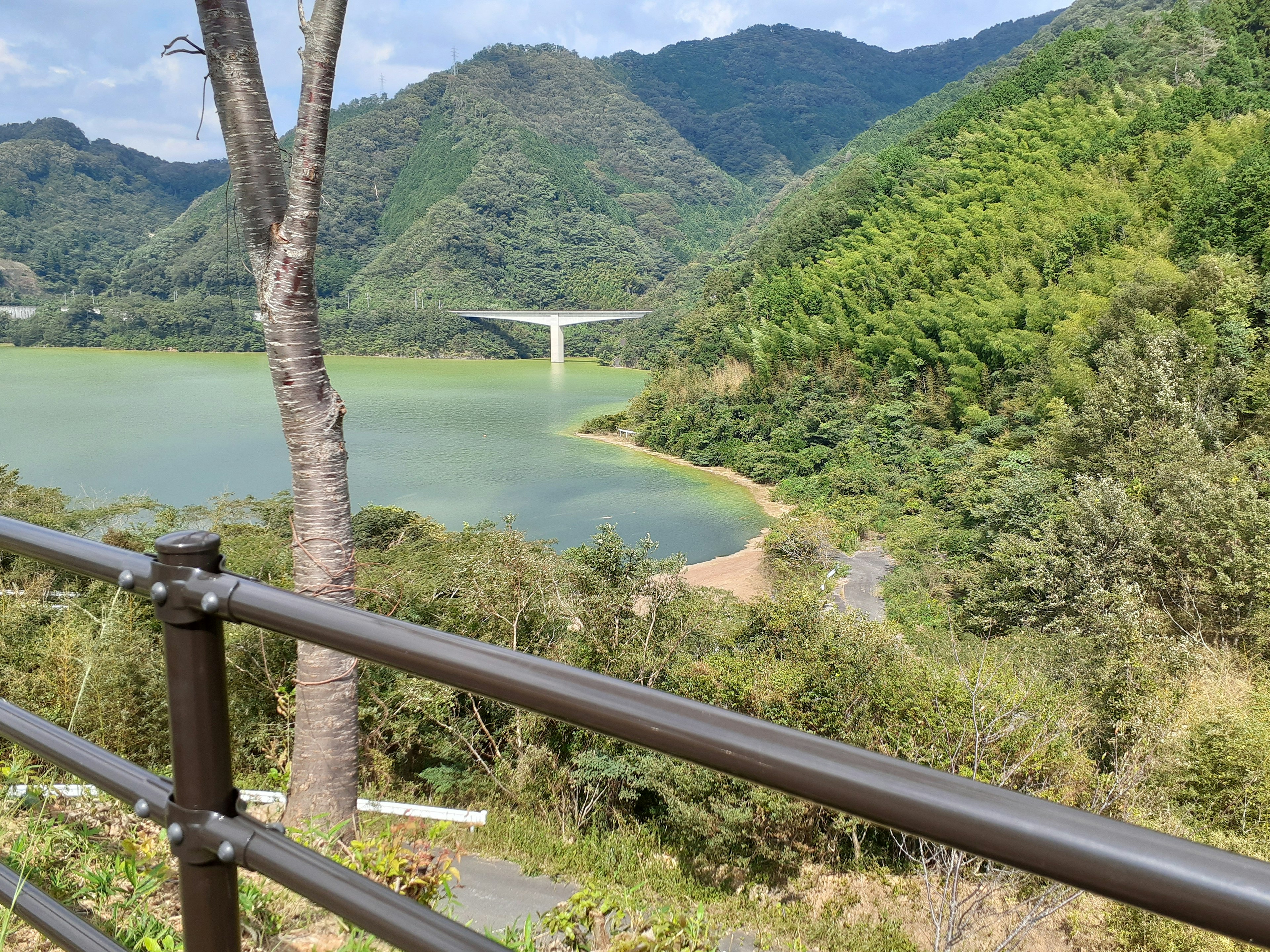 緑豊かな山々と湖の景色が広がる風景に、手すりのある遊歩道が見える